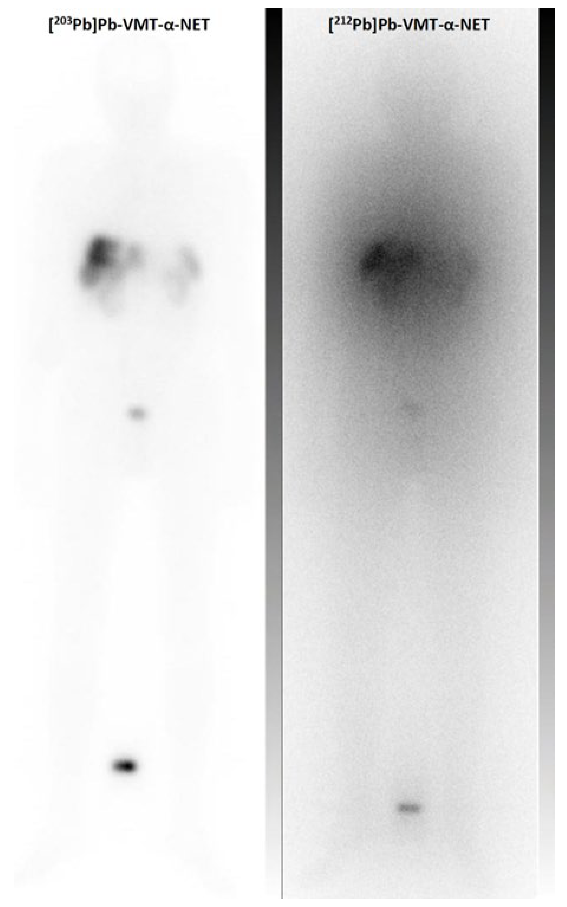 Pharmaceuticals 17 00076 g007 Pharmaceuticals 17 00076 g007