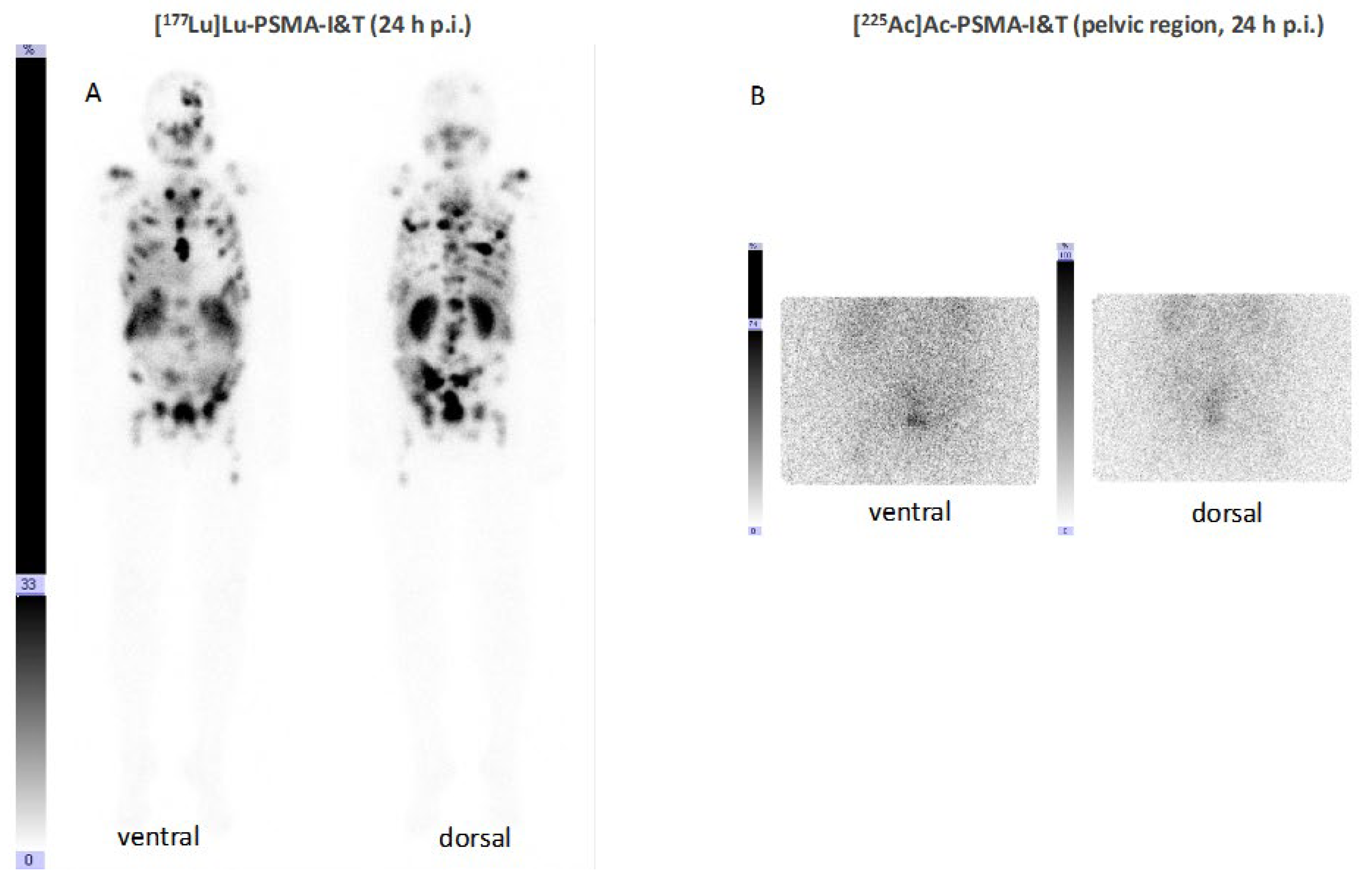 Pharmaceuticals 17 00076 g008 Pharmaceuticals 17 00076 g008