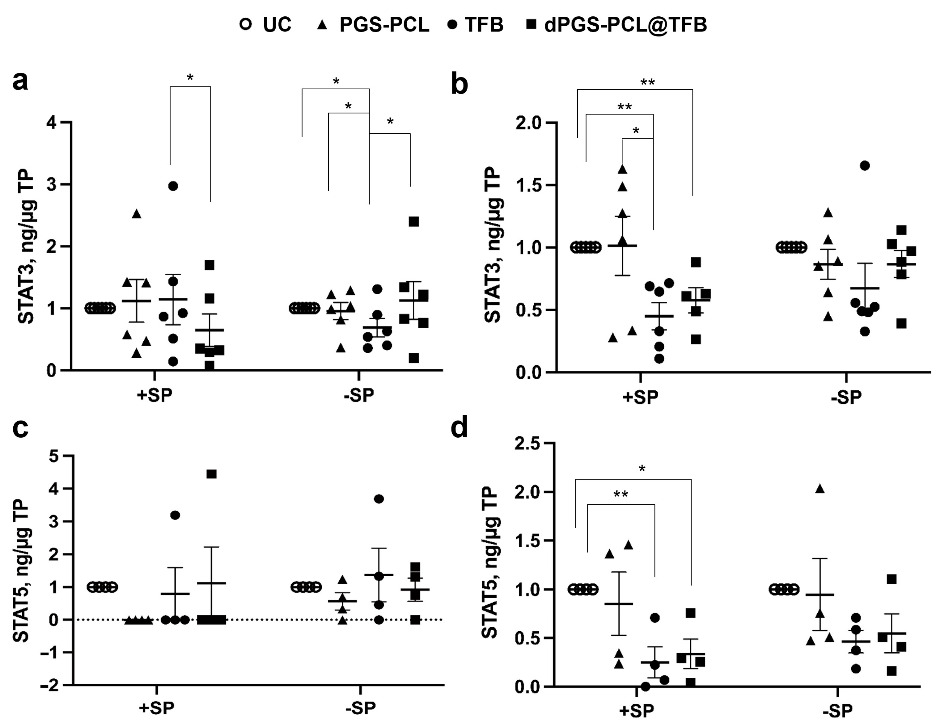 Pharmaceuticals 17 00077 g006
