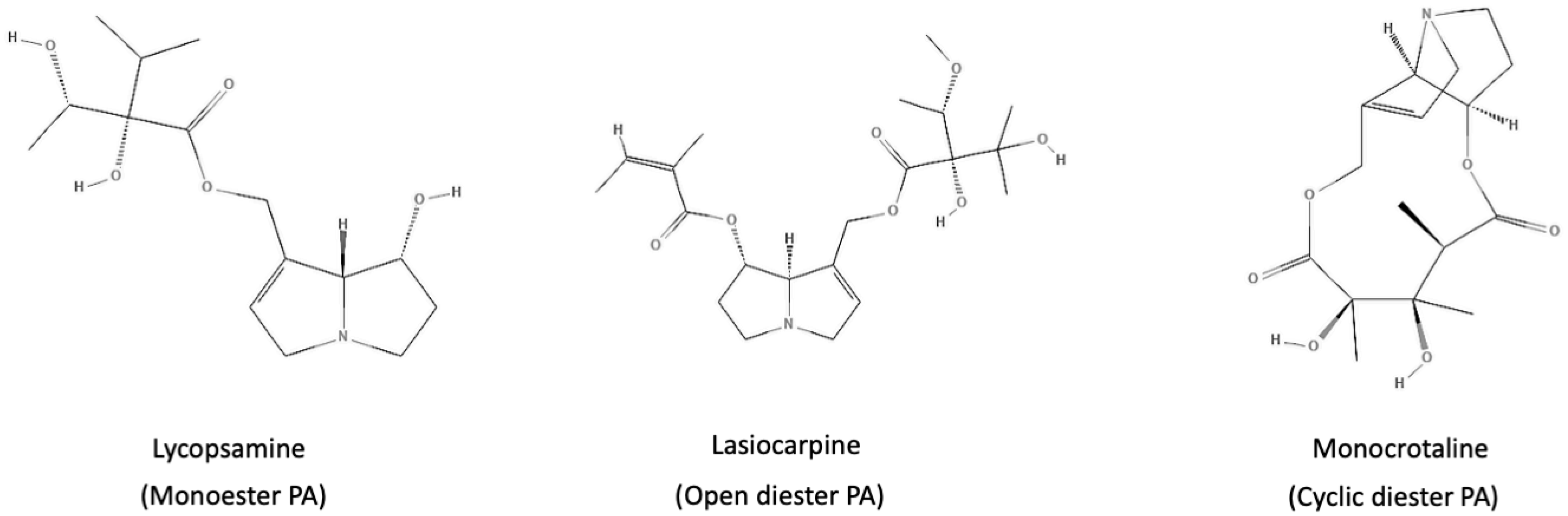 Pharmaceuticals 17 00080 g001