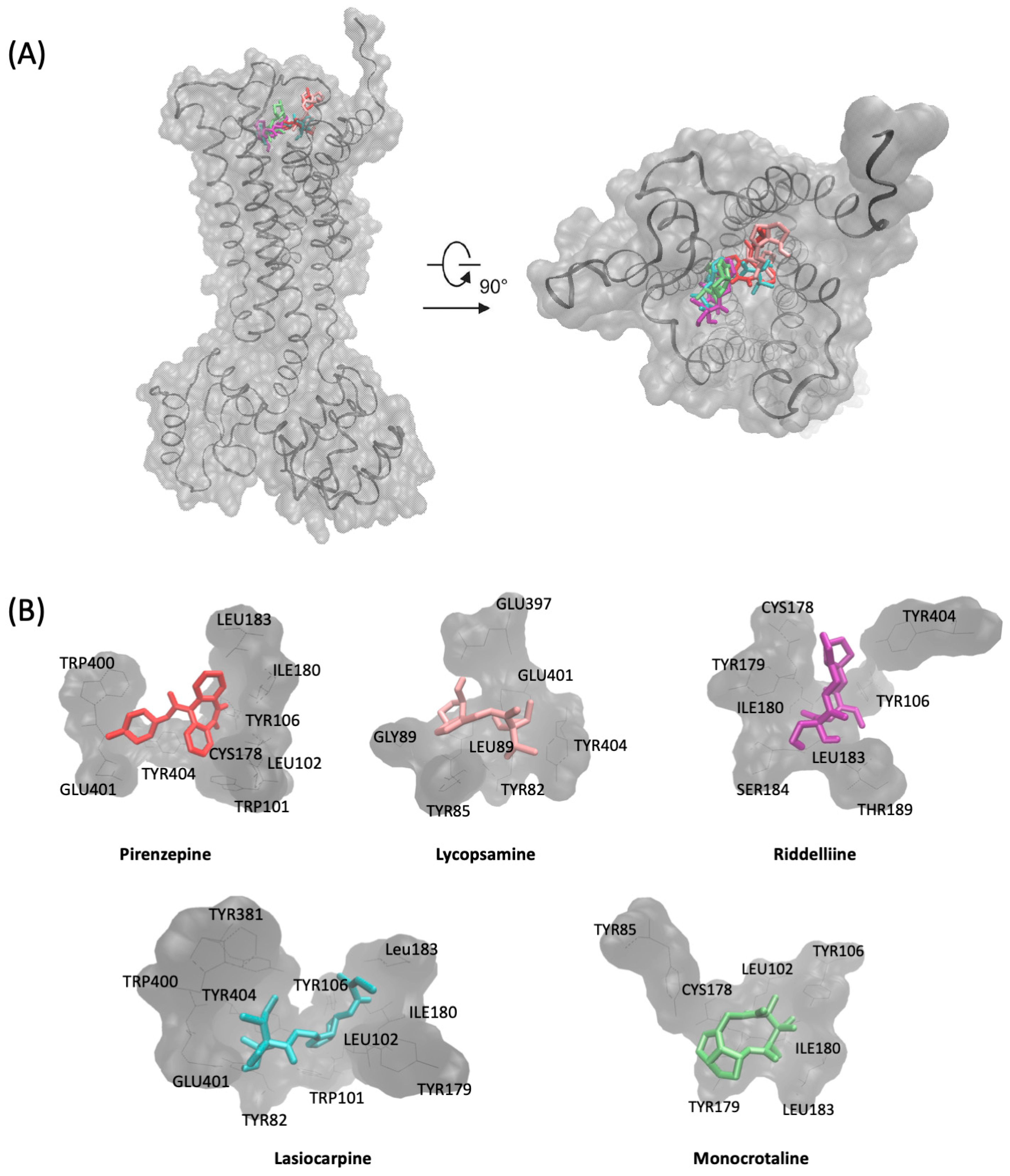 Pharmaceuticals 17 00080 g004