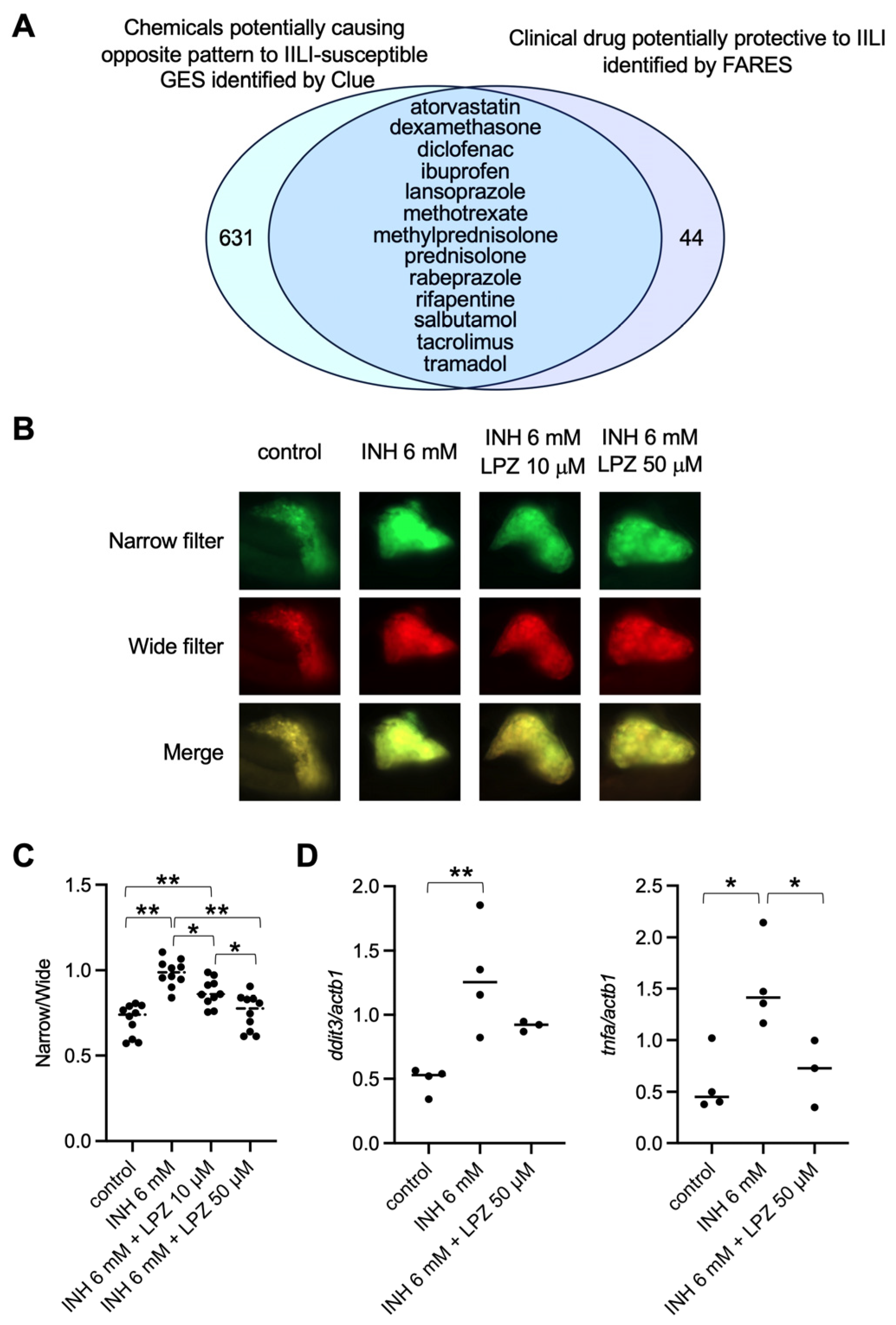Pharmaceuticals 17 00082 g002
