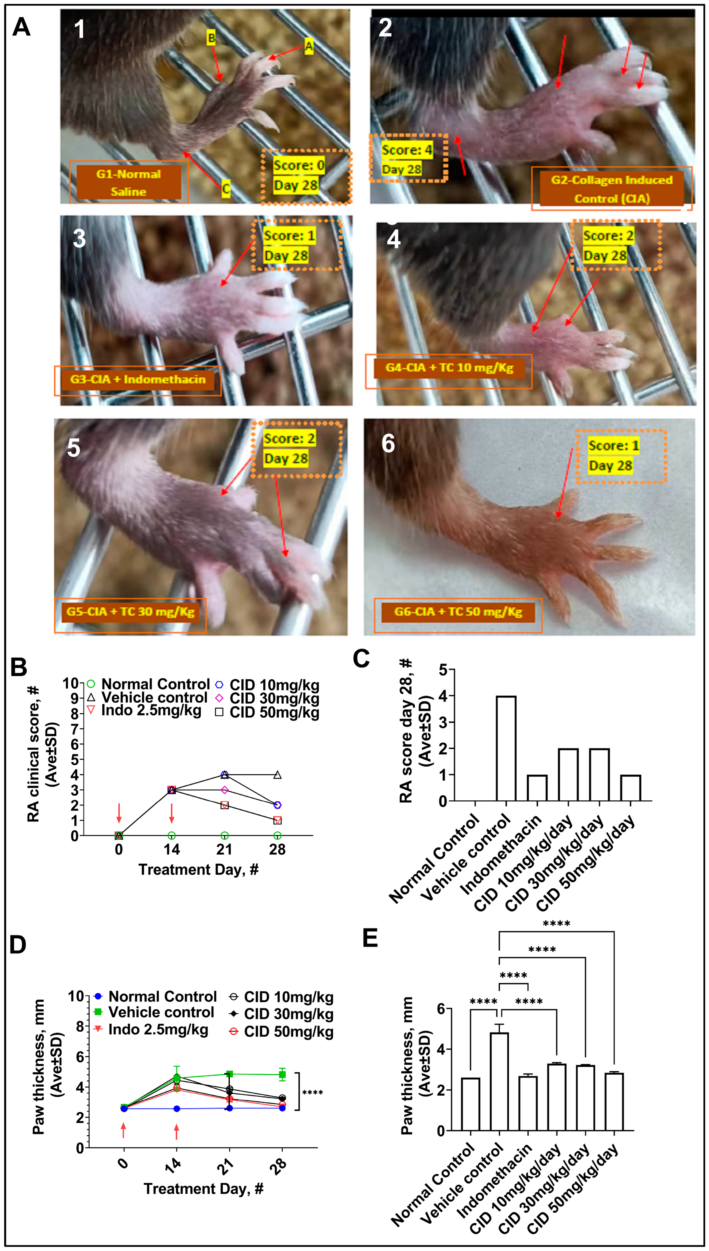 Pharmaceuticals 17 00087 g003