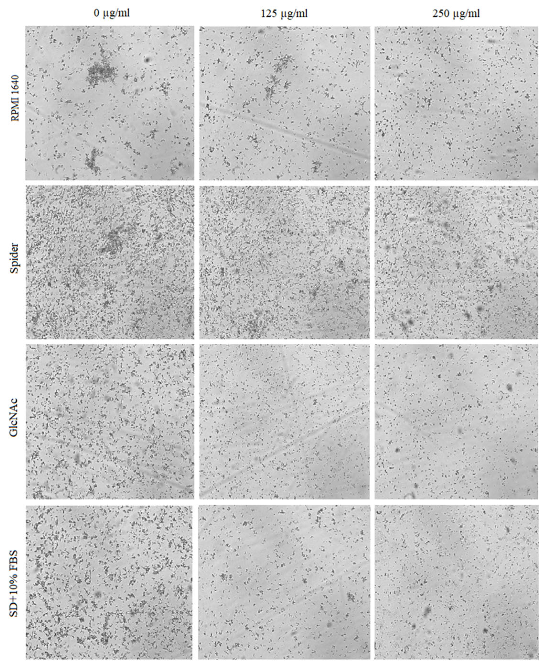 Pharmaceuticals 17 00089 g007