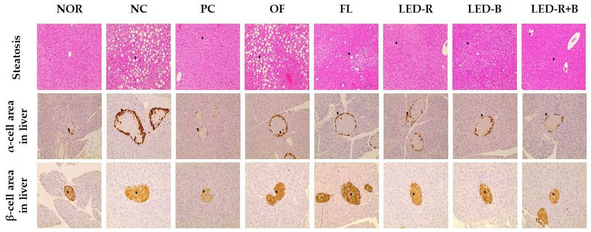 Pharmaceuticals 17 00091 g009