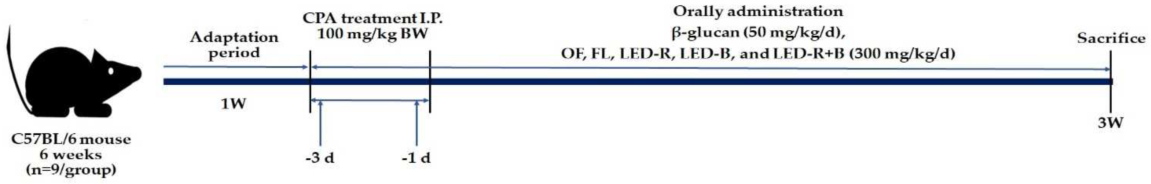 Pharmaceuticals 17 00091 g011