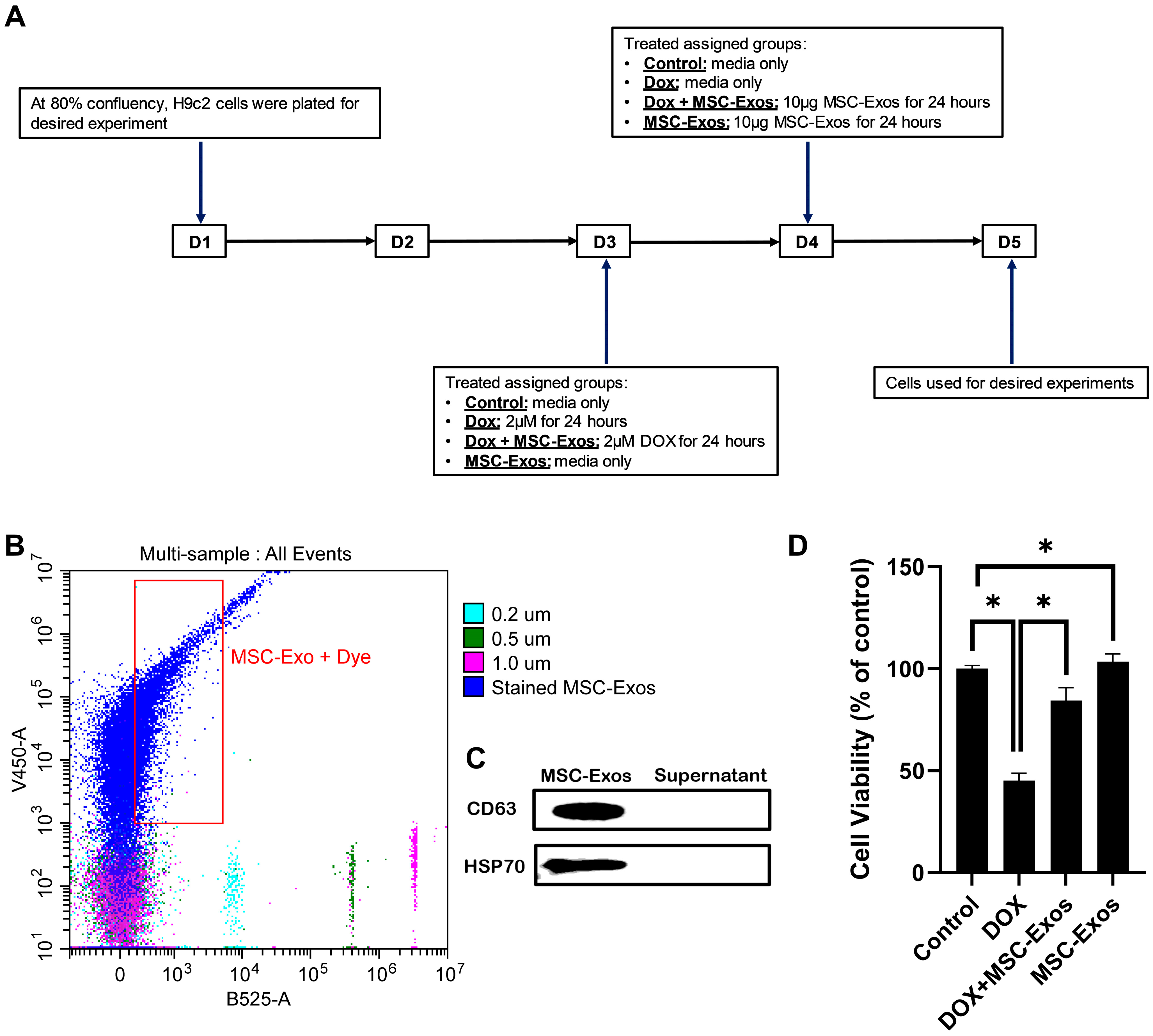 Pharmaceuticals 17 00093 g001