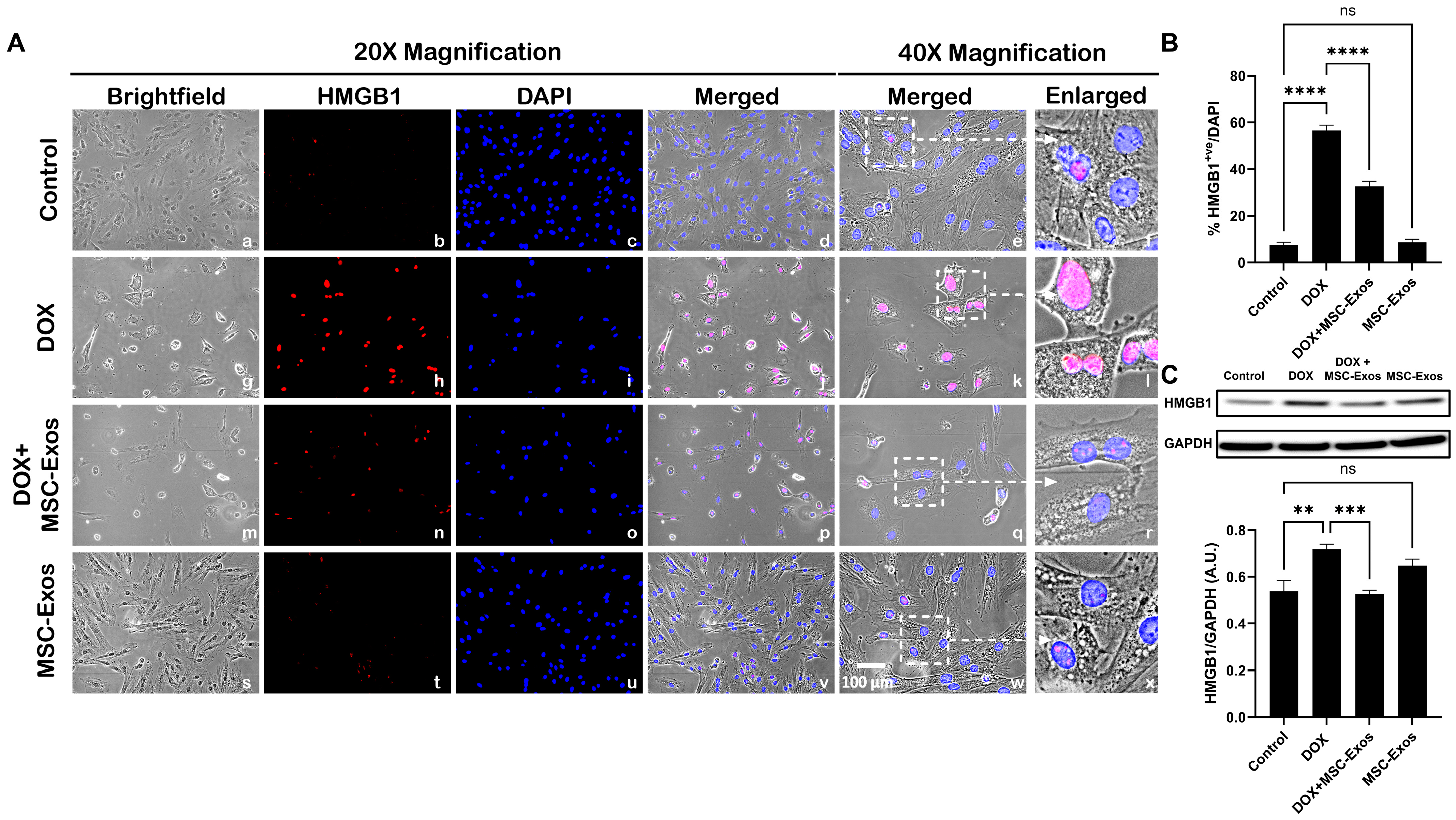 Pharmaceuticals 17 00093 g002