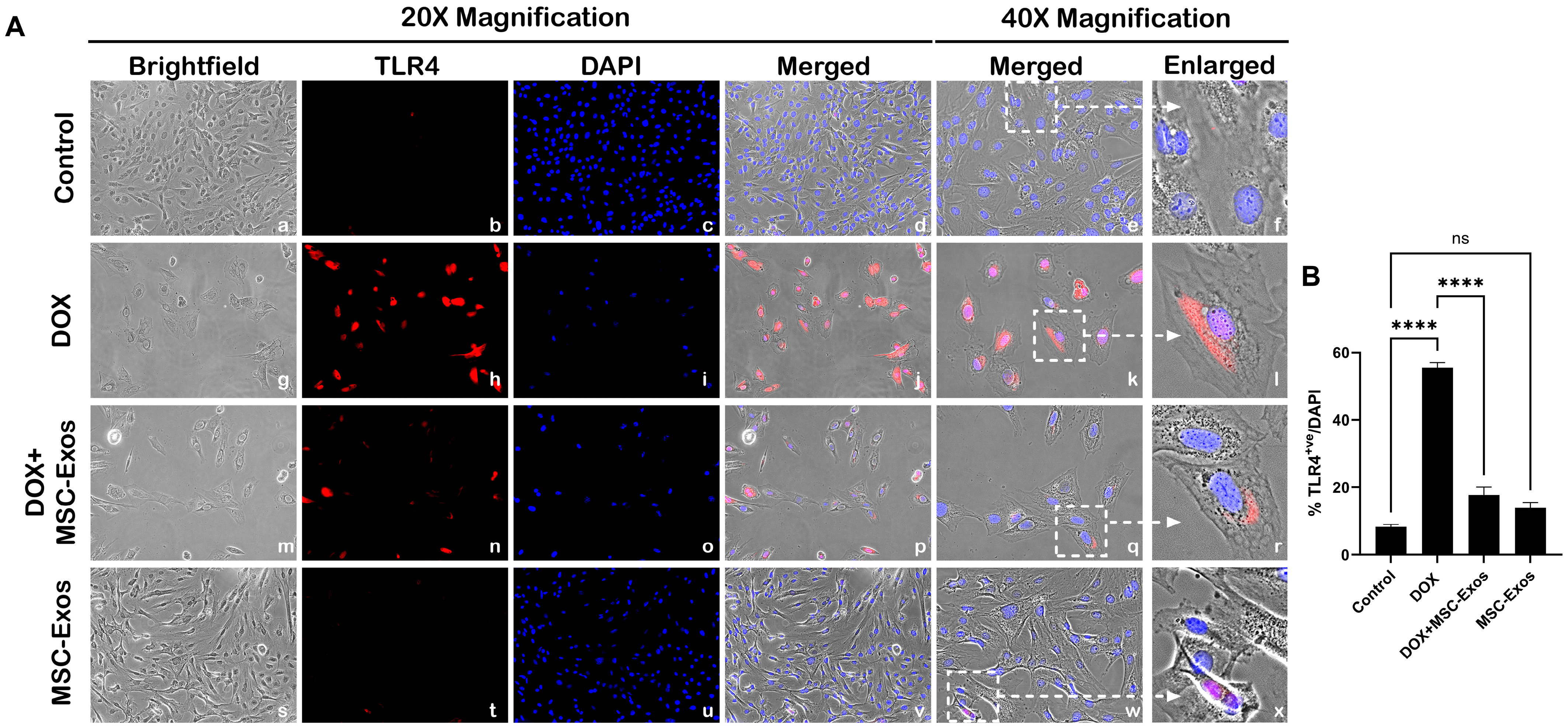 Pharmaceuticals 17 00093 g003