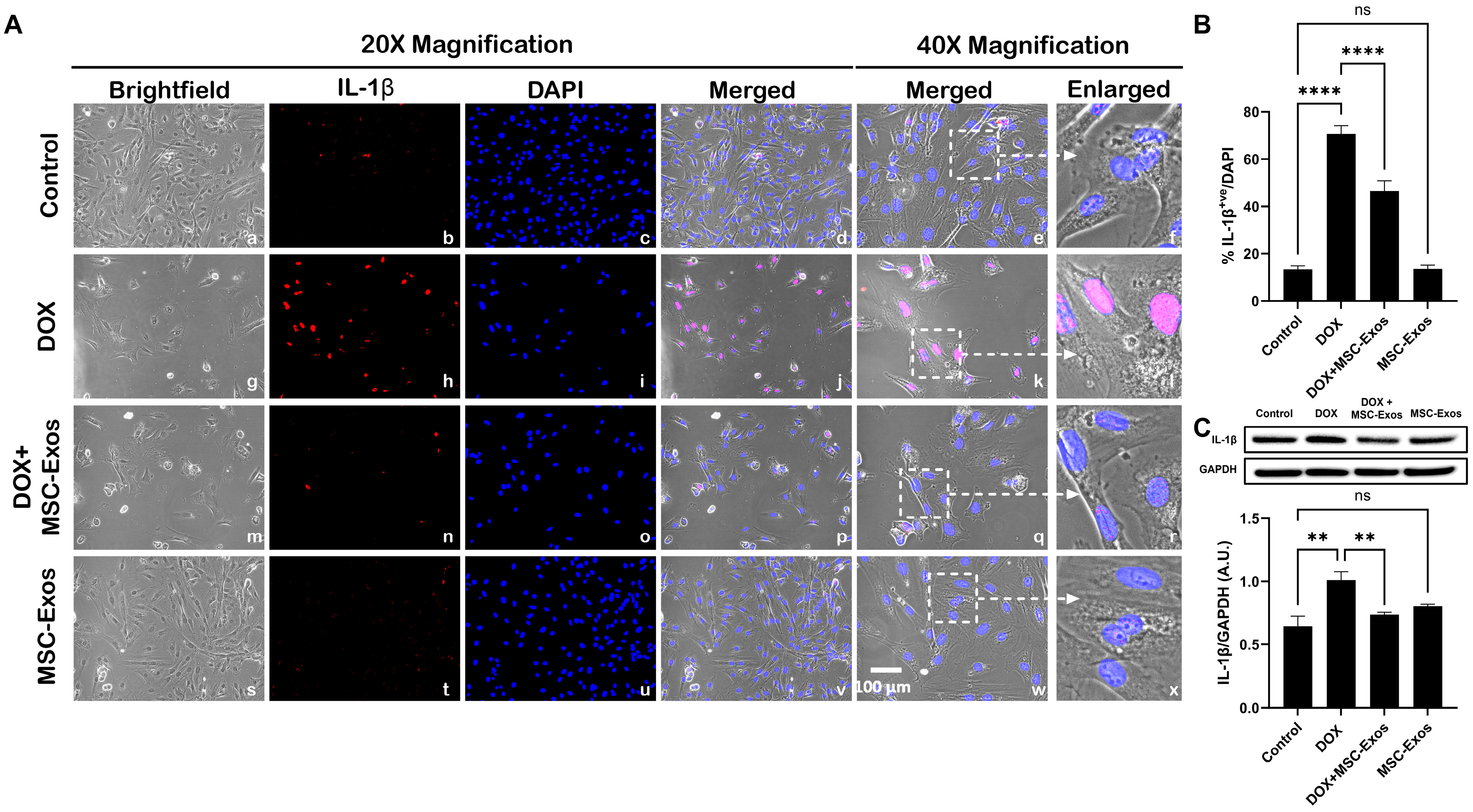 Pharmaceuticals 17 00093 g006