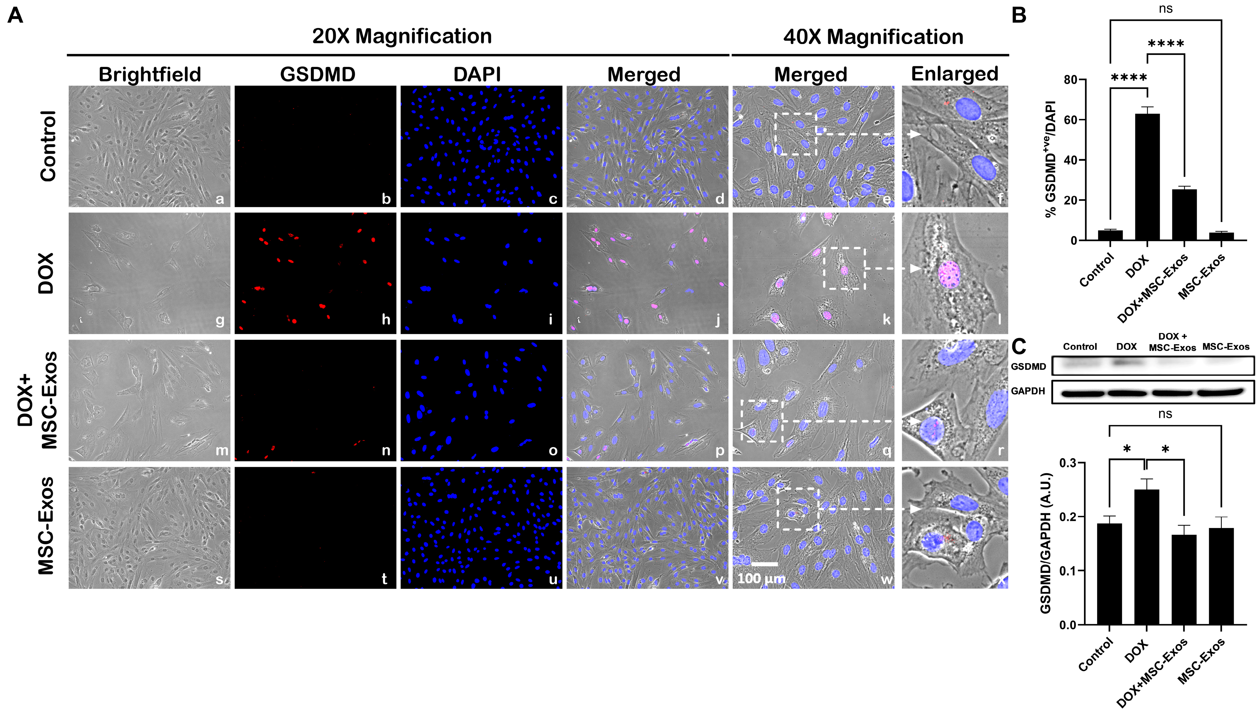 Pharmaceuticals 17 00093 g008