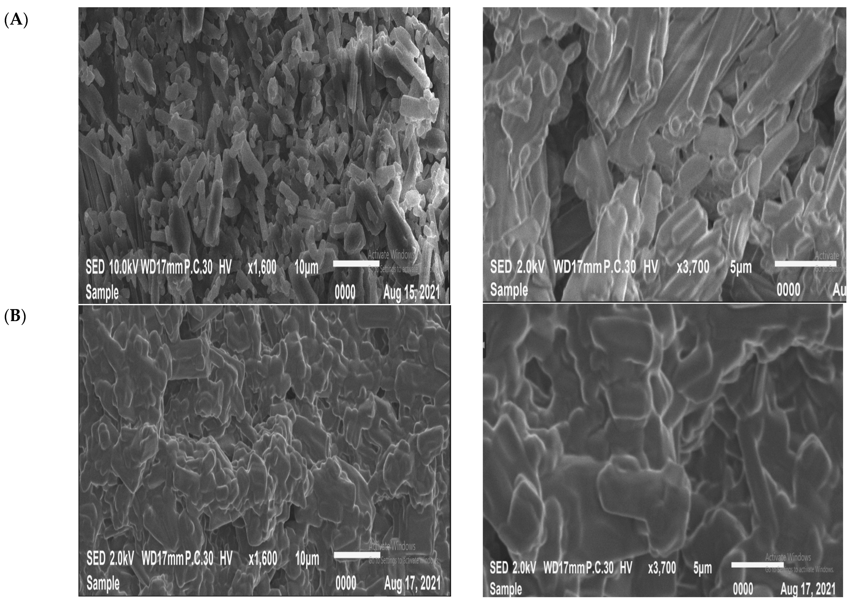 Pharmaceuticals 17 00096 g002