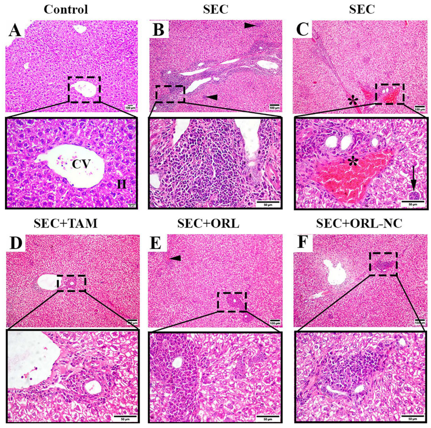 Pharmaceuticals 17 00096 g009