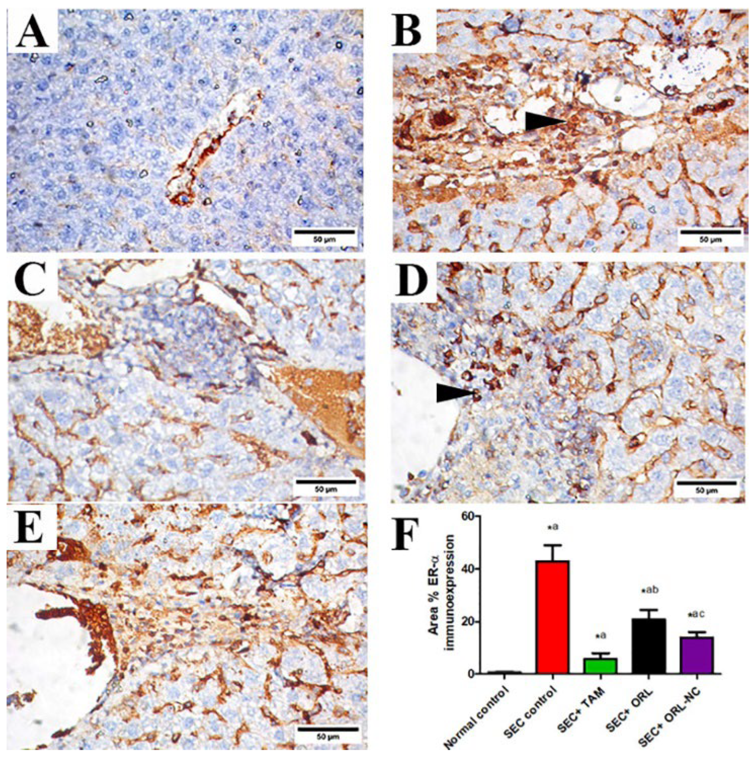 Pharmaceuticals 17 00096 g010