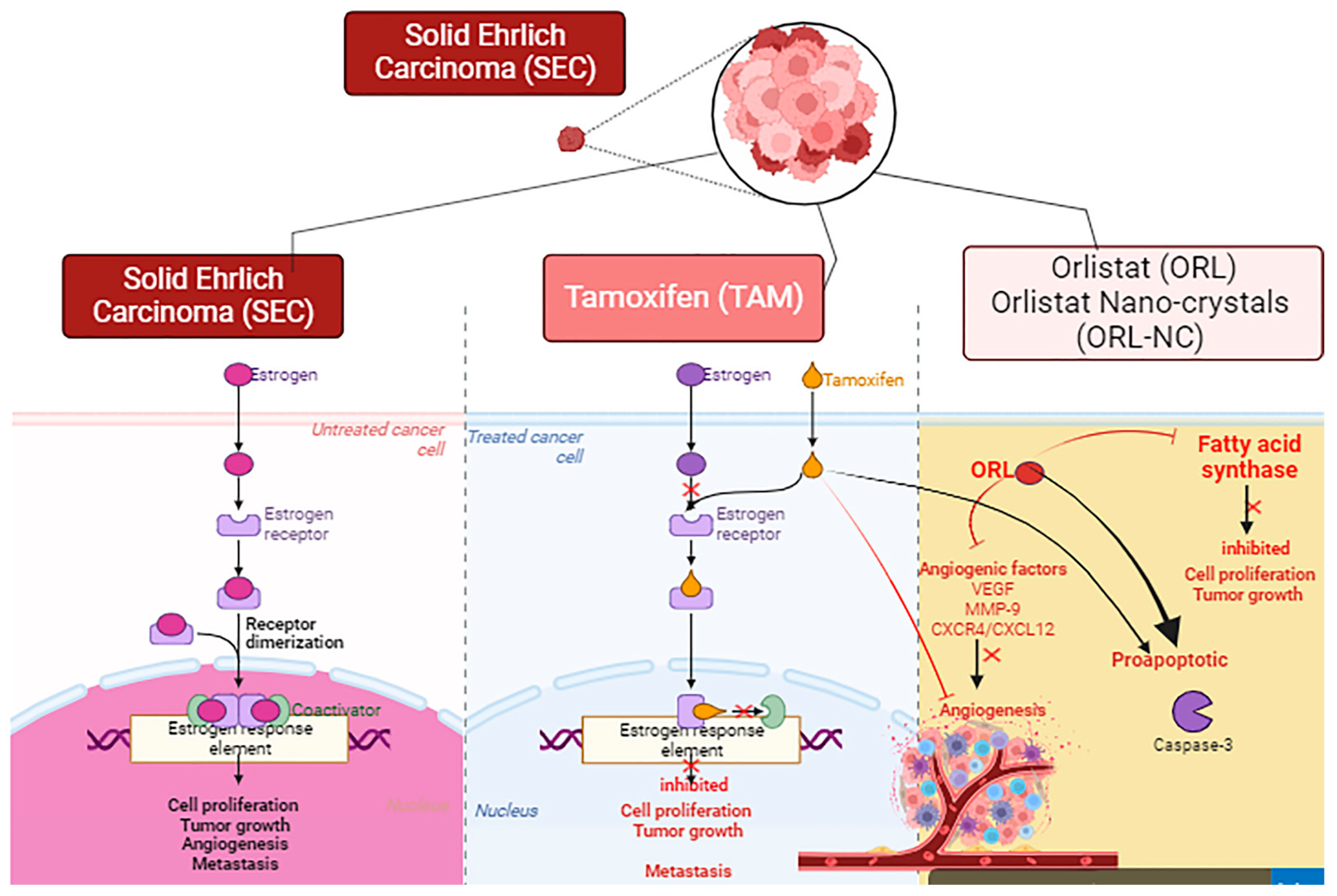 Pharmaceuticals 17 00096 g012