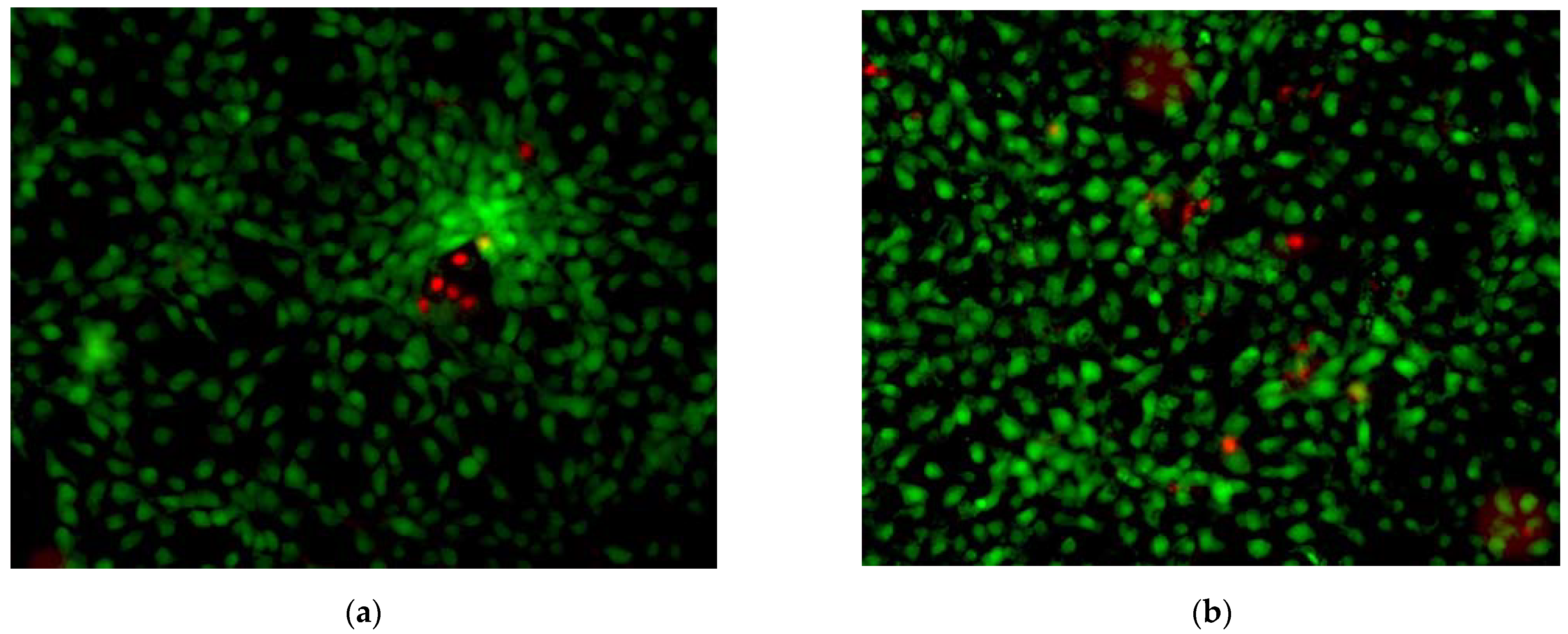 Pharmaceuticals 17 00098 g015