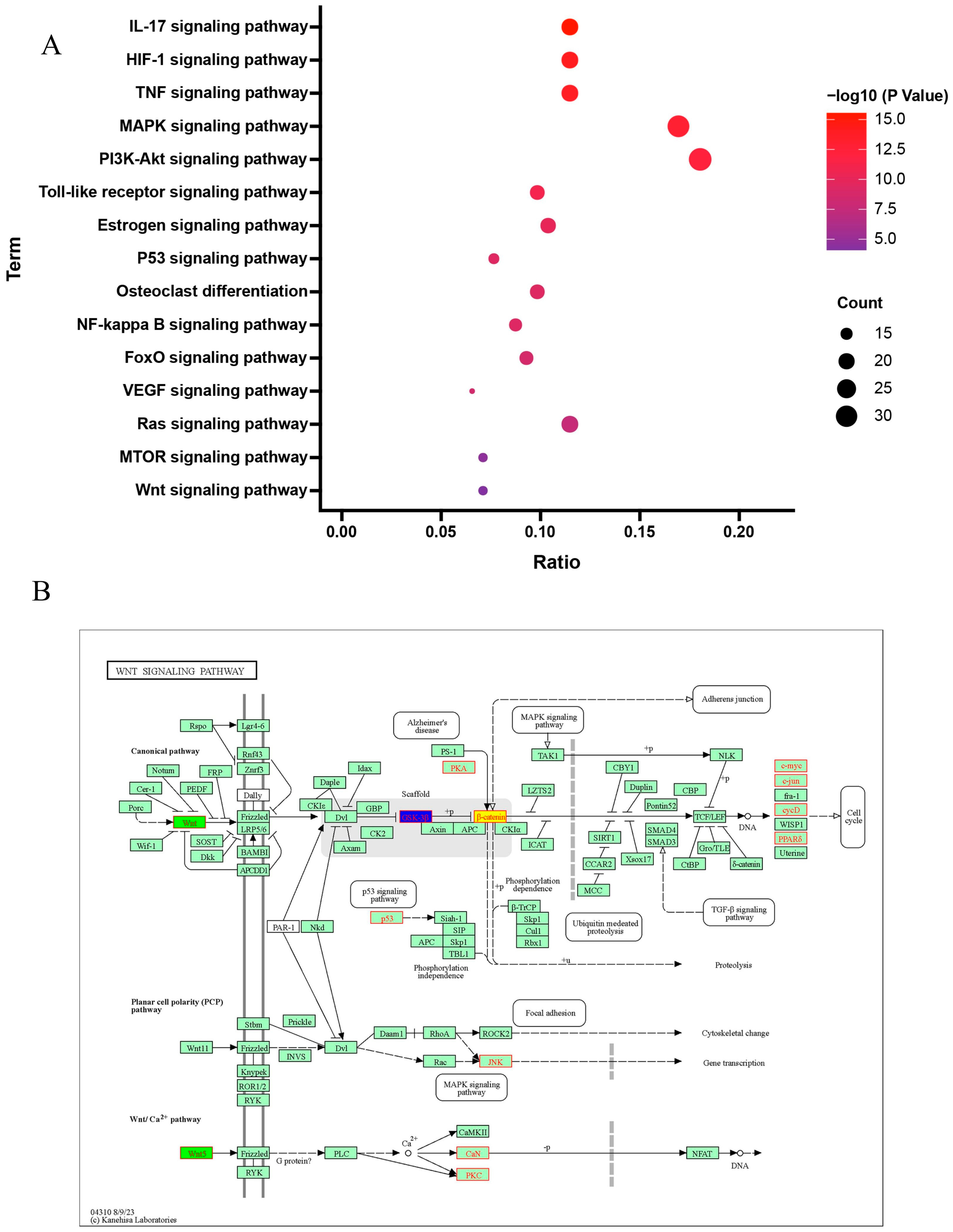 Pharmaceuticals 17 00099 g005