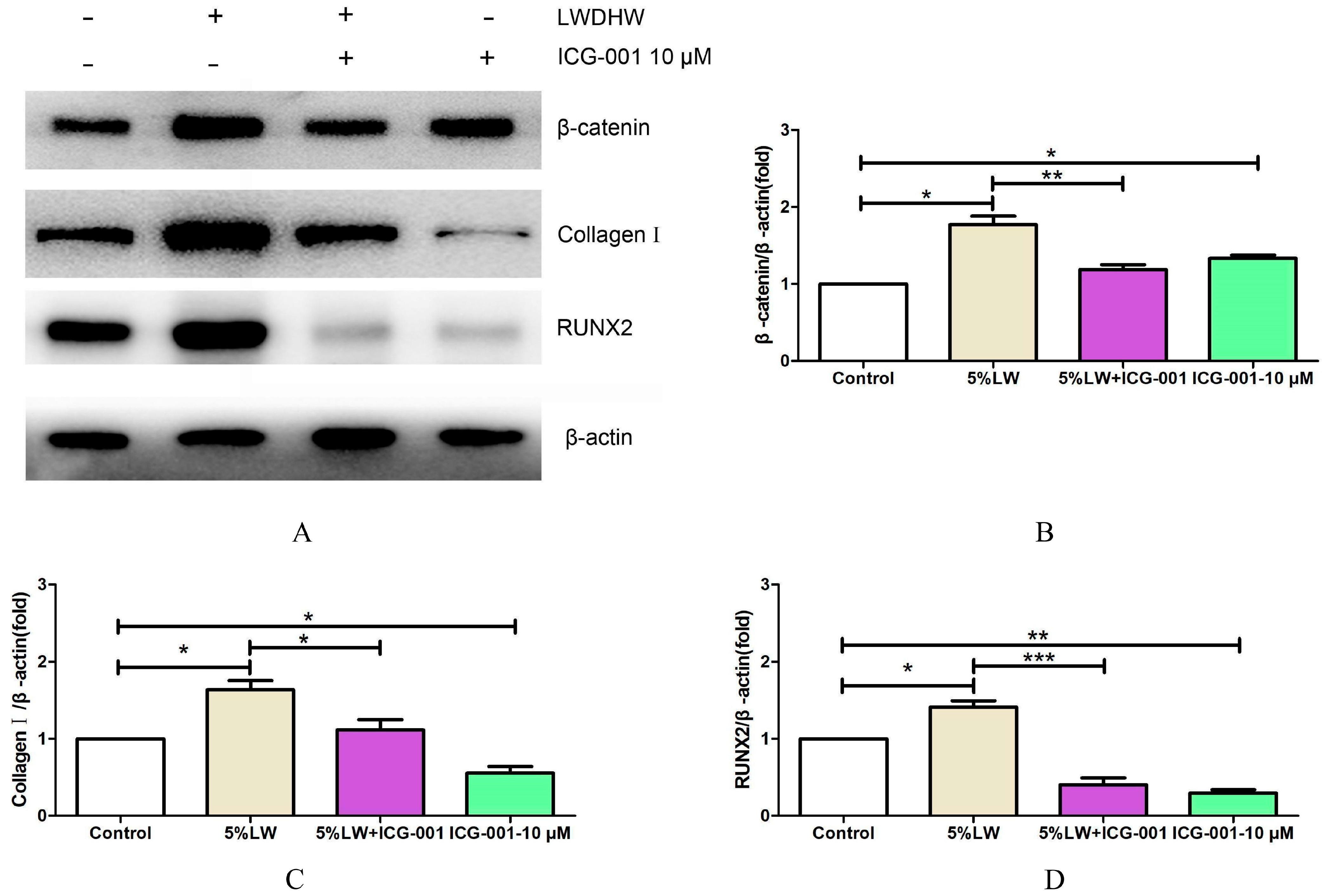 Pharmaceuticals 17 00099 g010