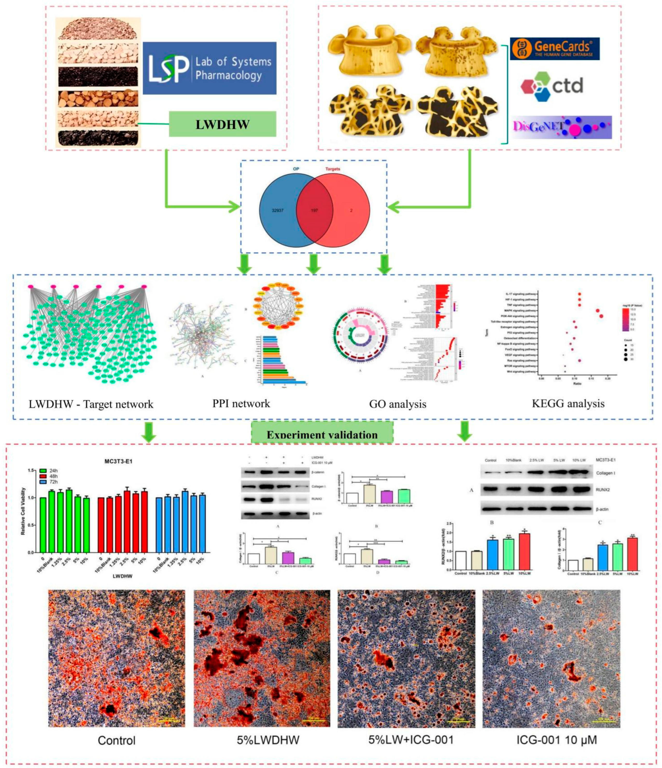 Pharmaceuticals 17 00099 g013