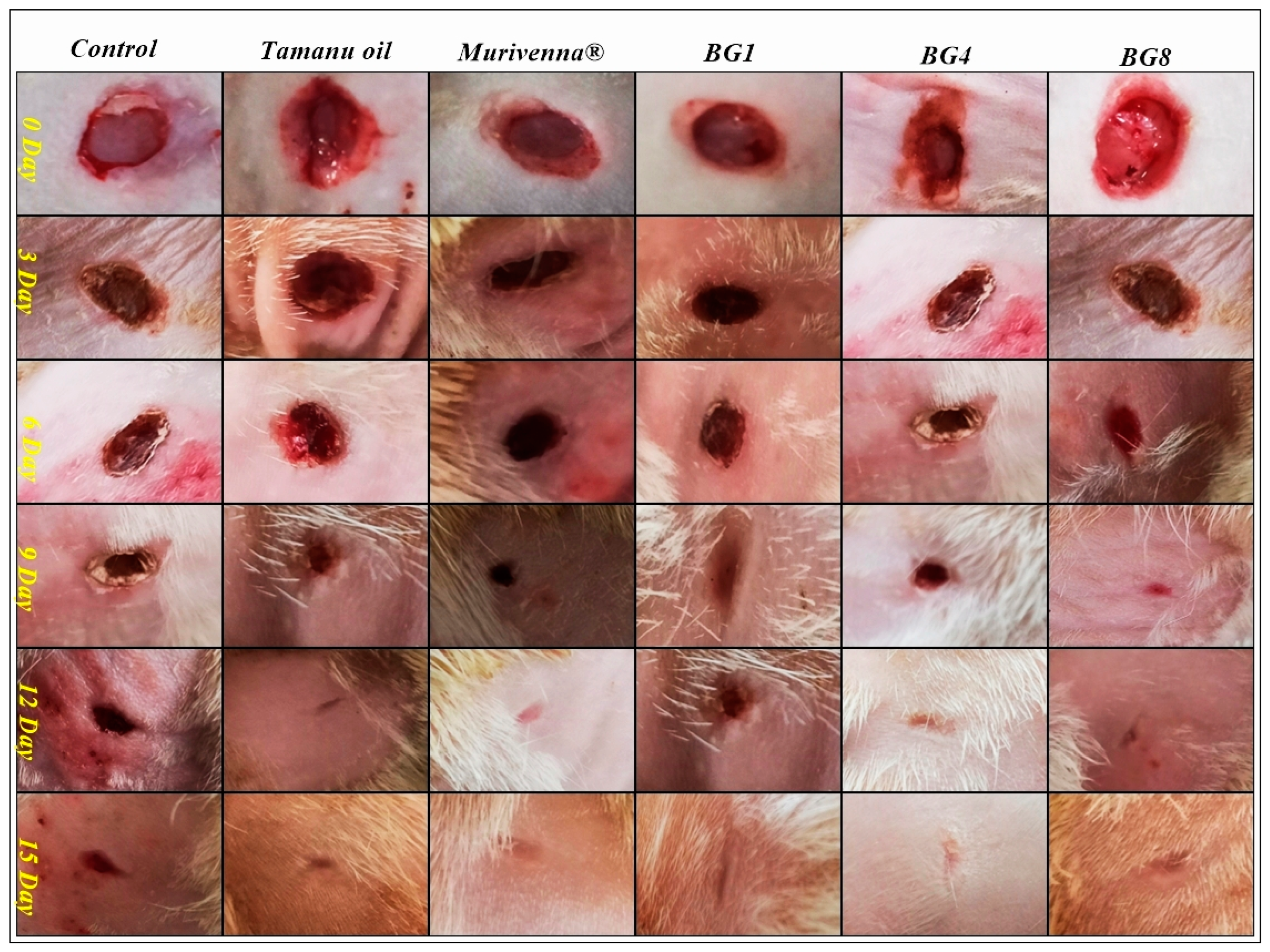 Pharmaceuticals 17 00102 g004