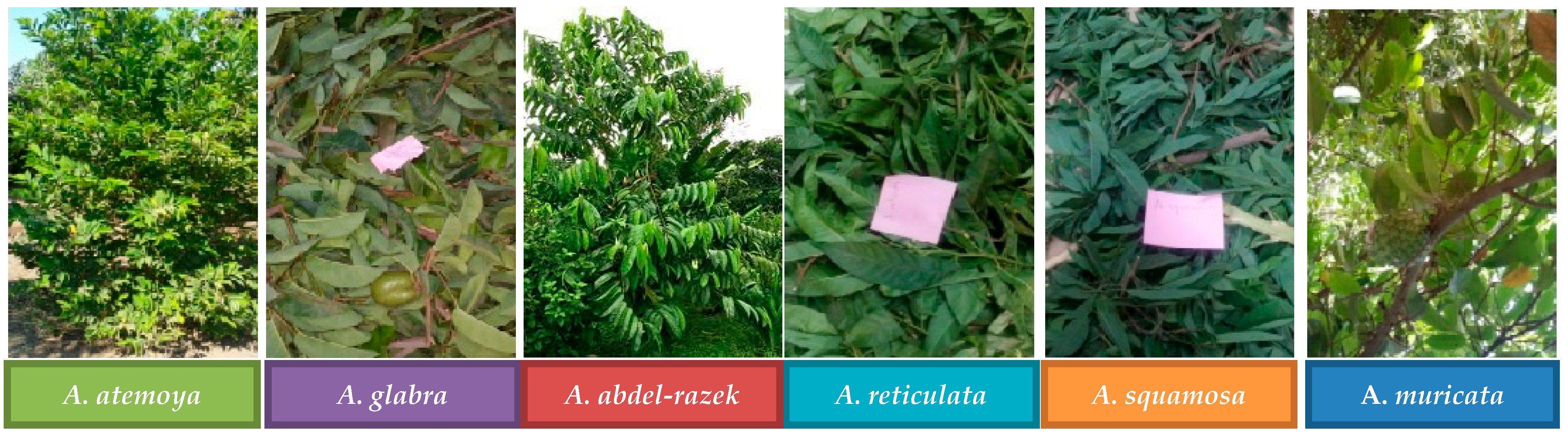 Pharmaceuticals 17 00103 g001 Pharmaceuticals 17 00103 g001