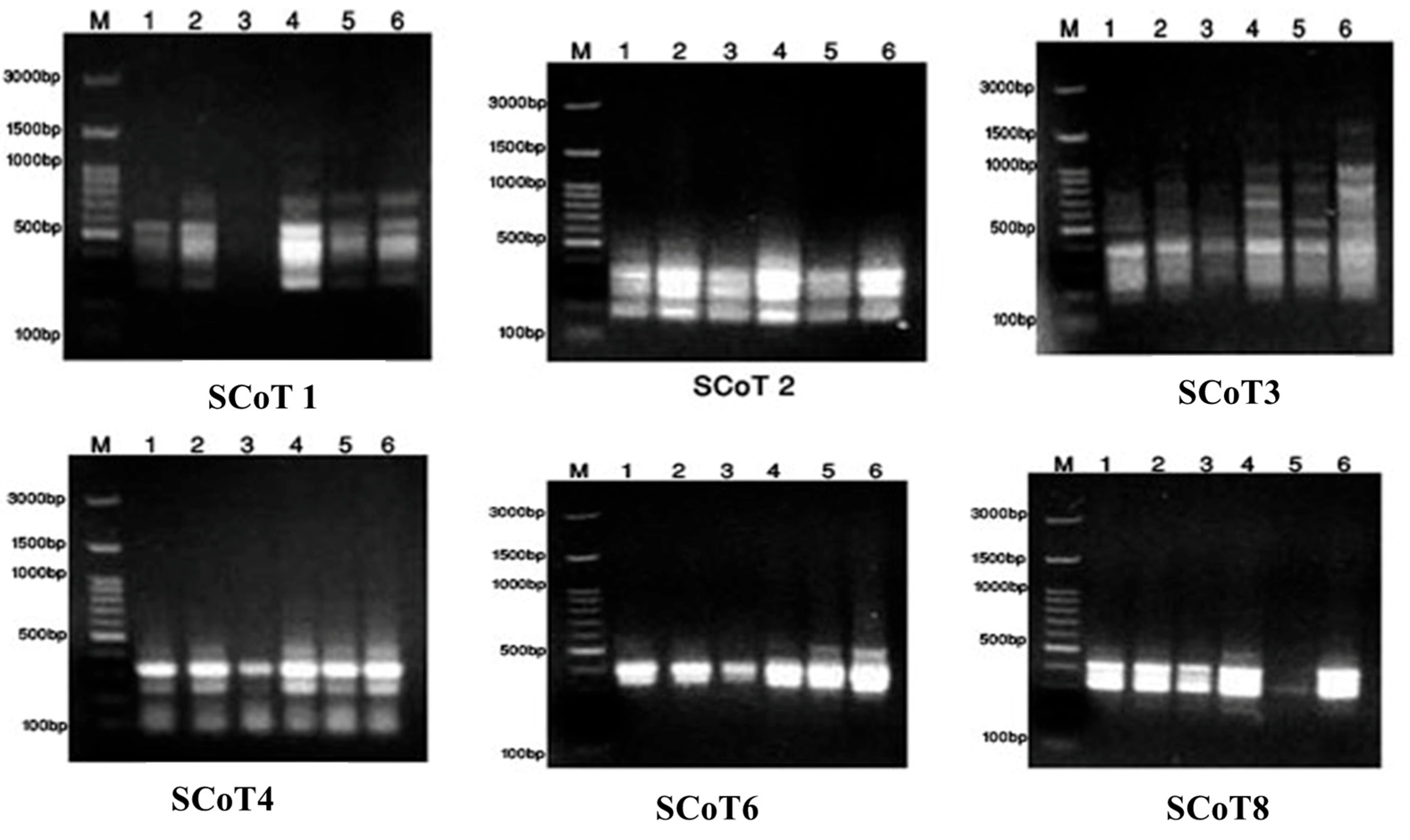 Pharmaceuticals 17 00103 g003 Pharmaceuticals 17 00103 g003