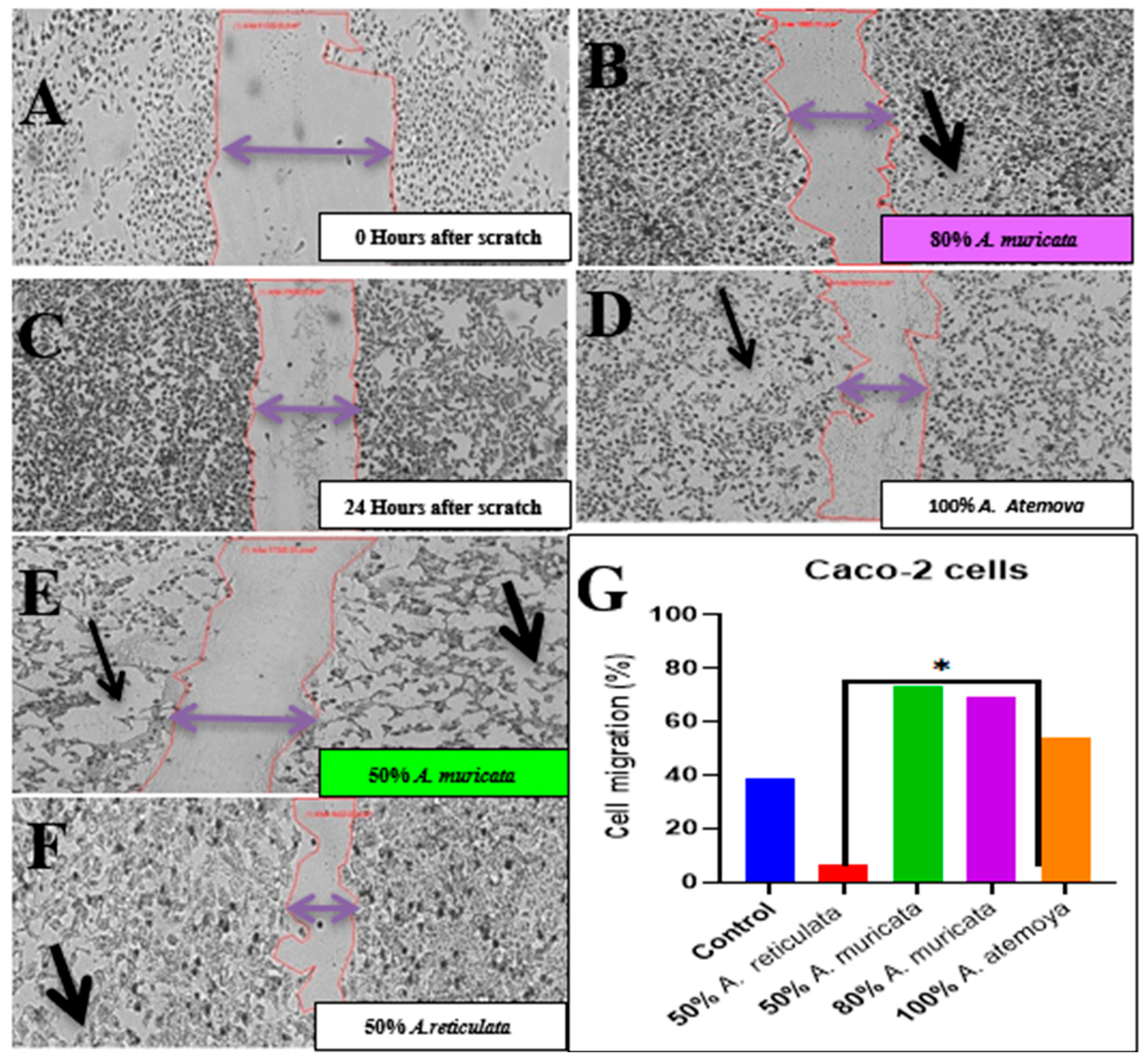 Pharmaceuticals 17 00103 g016 Pharmaceuticals 17 00103 g016