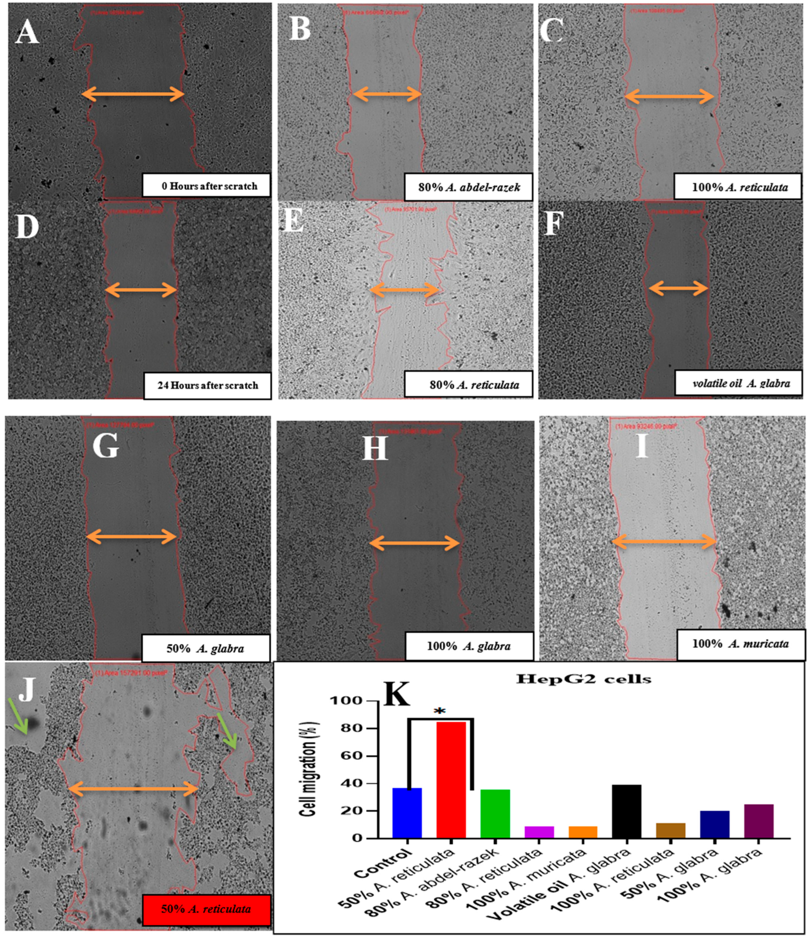 Pharmaceuticals 17 00103 g017 Pharmaceuticals 17 00103 g017