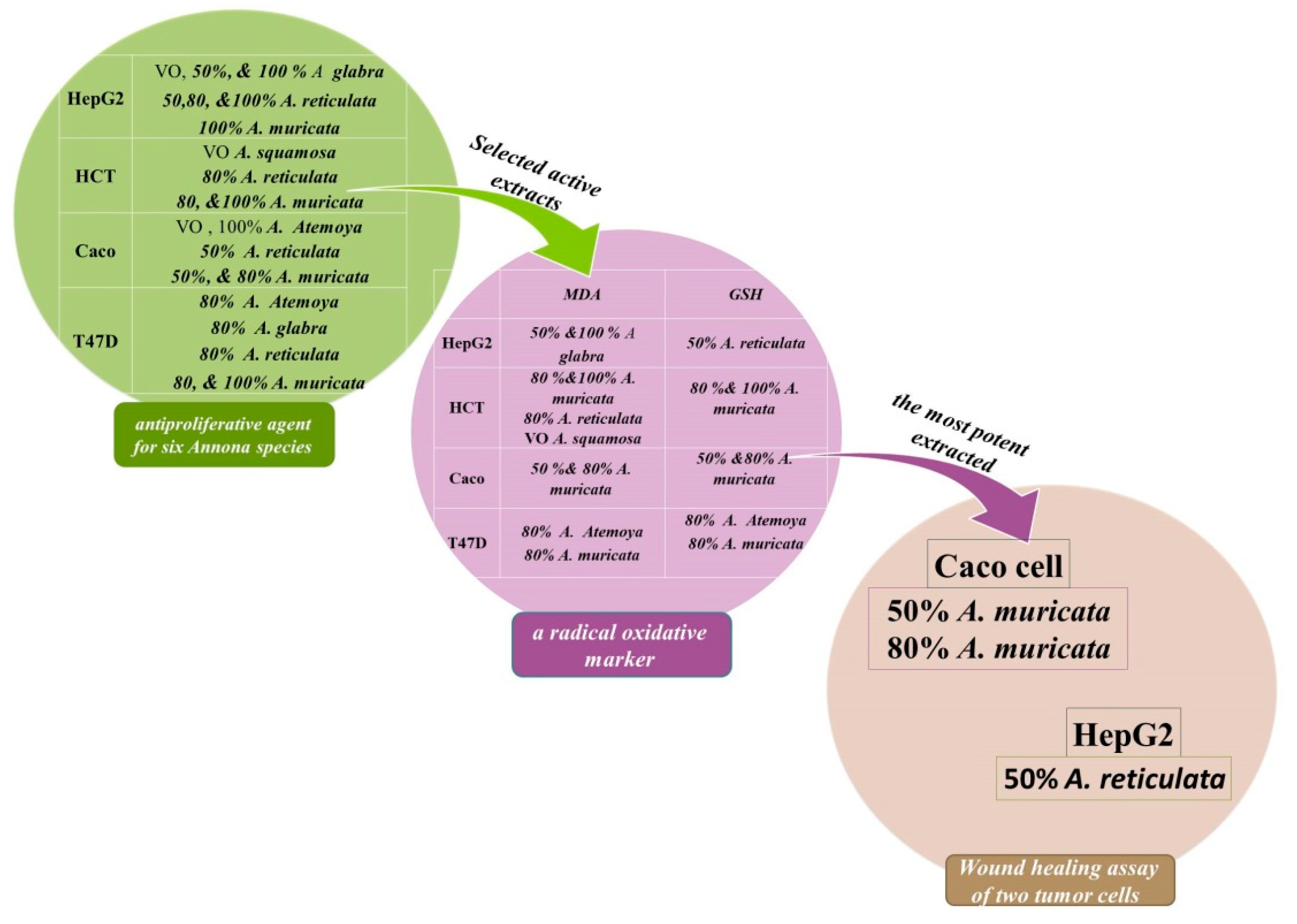 Pharmaceuticals 17 00103 g018 Pharmaceuticals 17 00103 g018