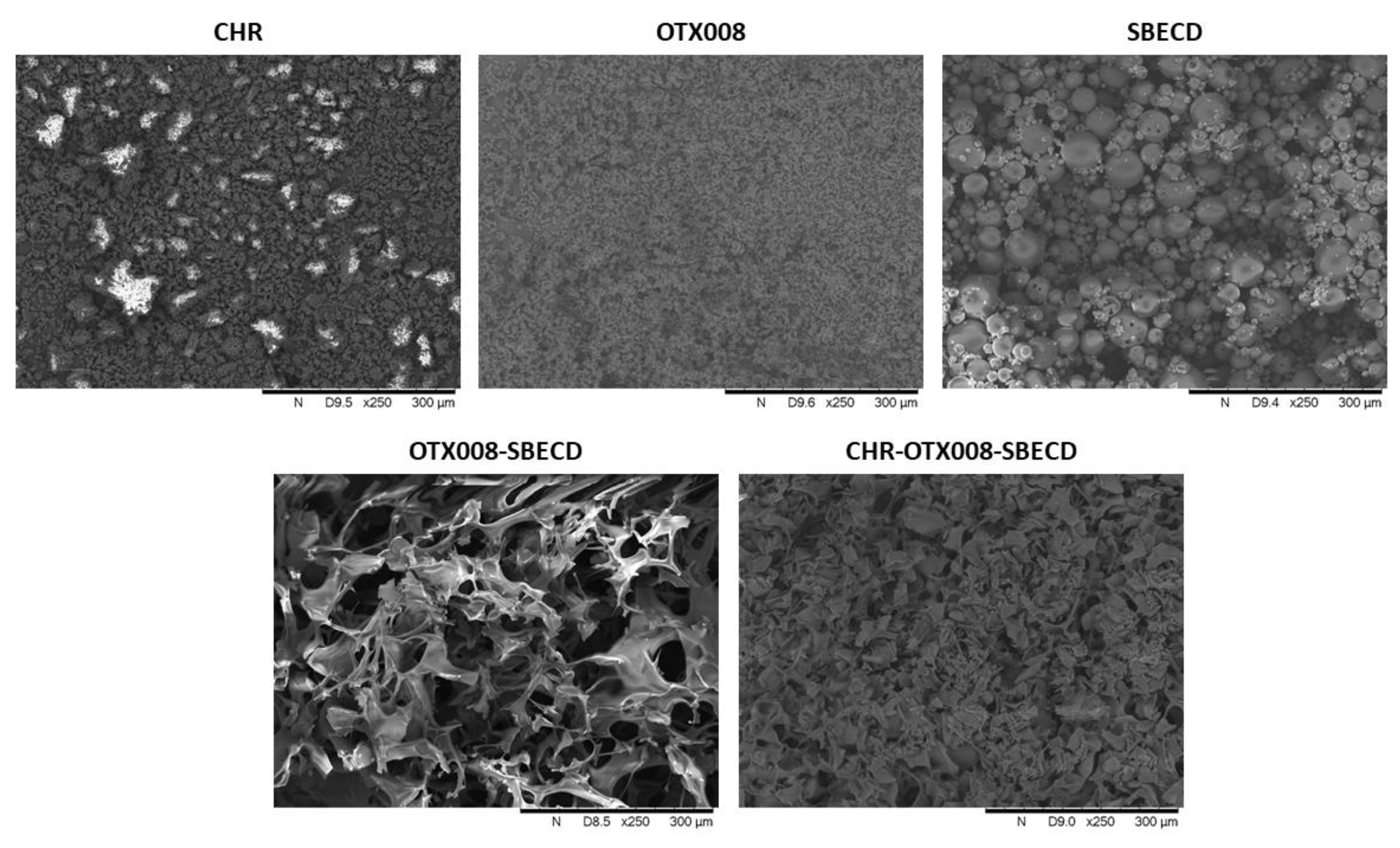 Pharmaceuticals 17 00107 g003