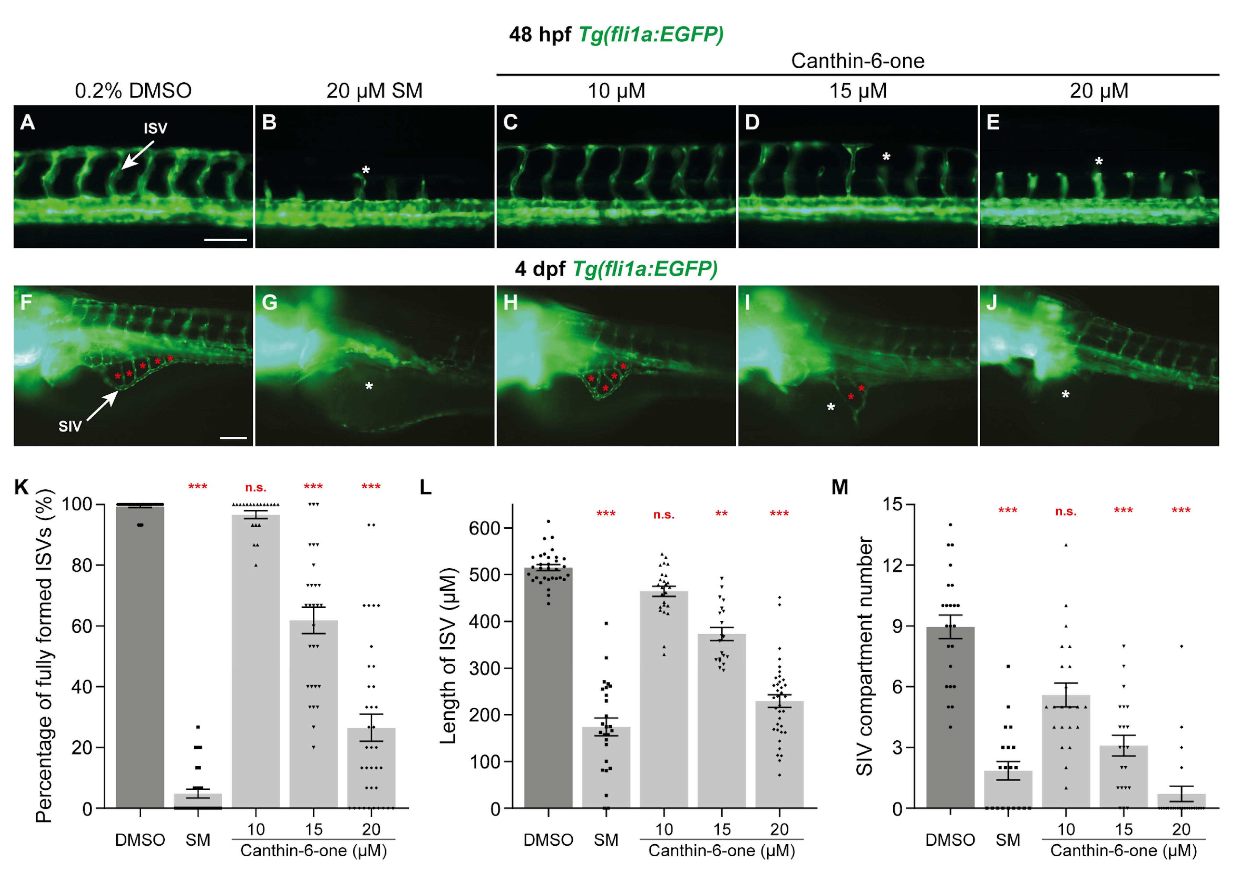 Pharmaceuticals 17 00108 g001