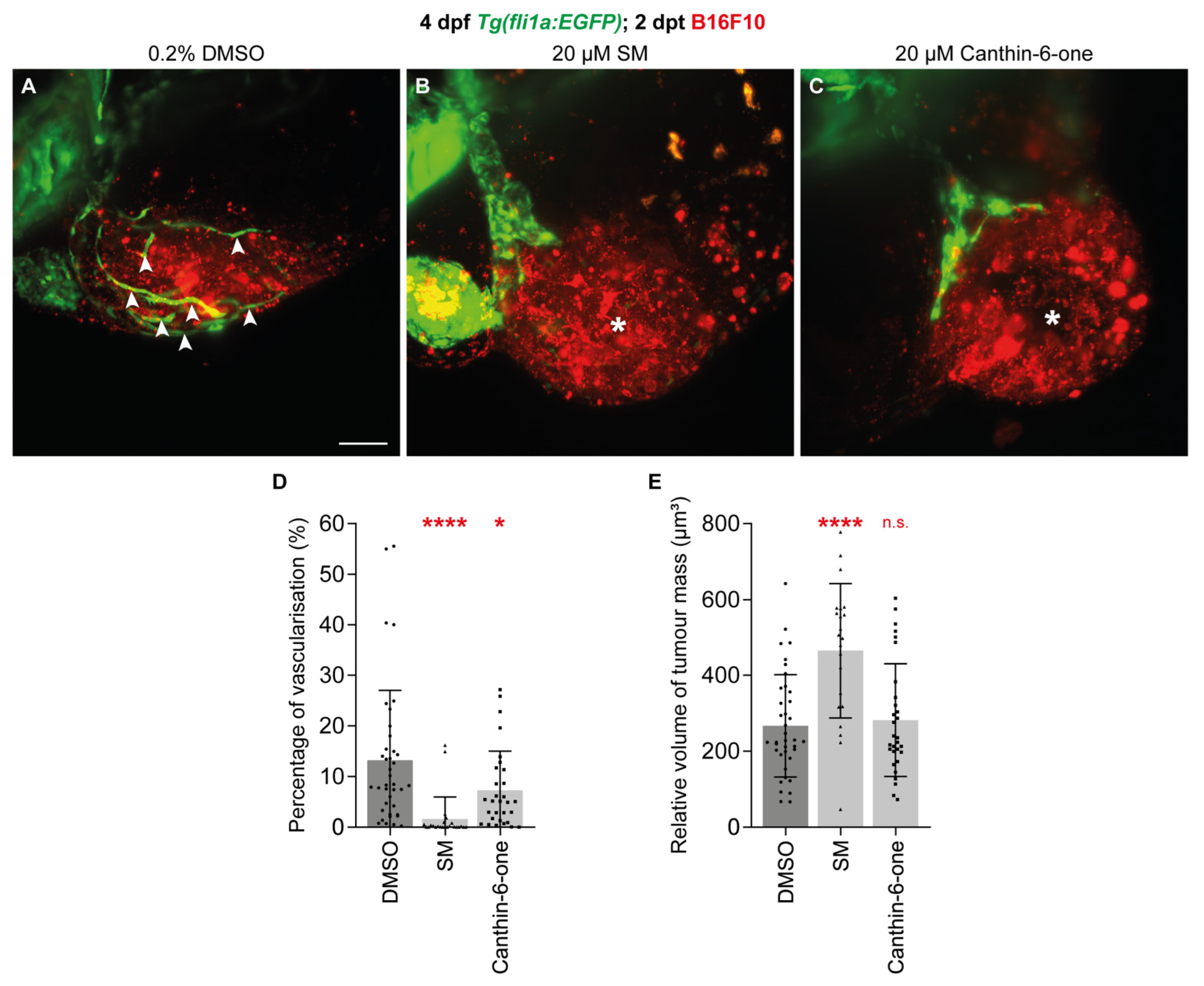 Pharmaceuticals 17 00108 g004