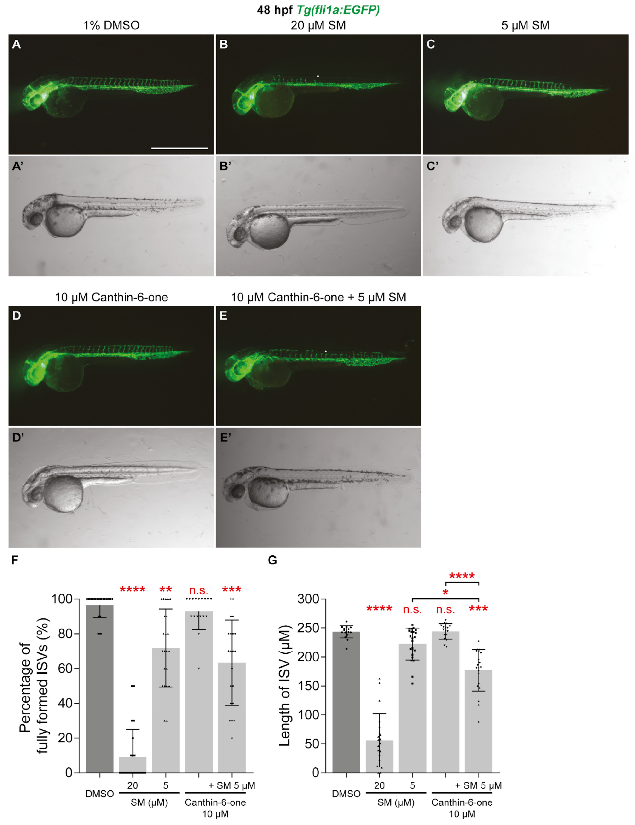 Pharmaceuticals 17 00108 g005