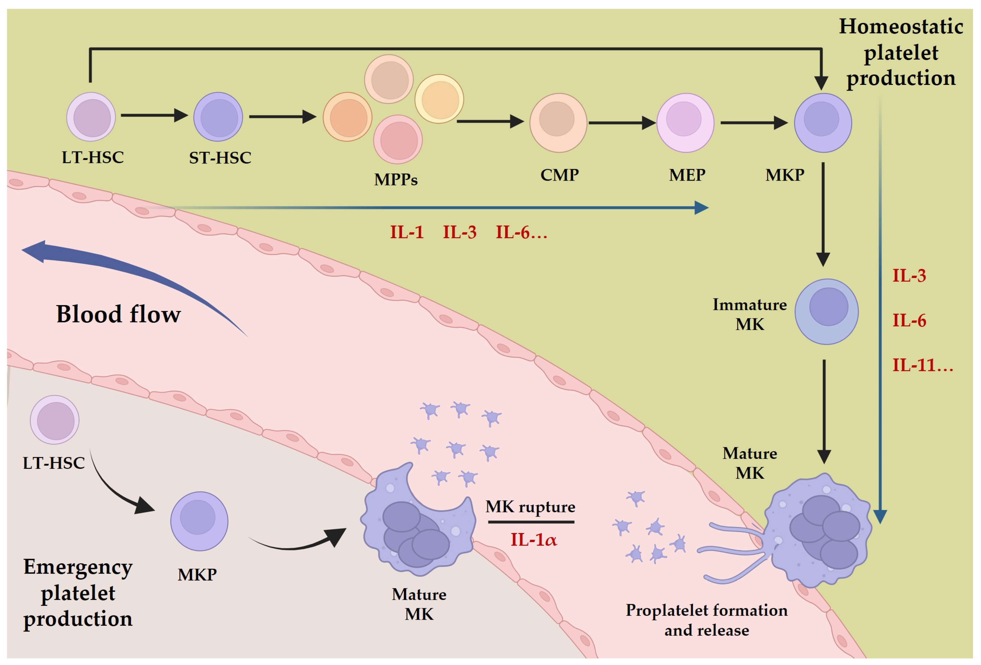 Pharmaceuticals 17 00109 g001 Pharmaceuticals 17 00109 g001