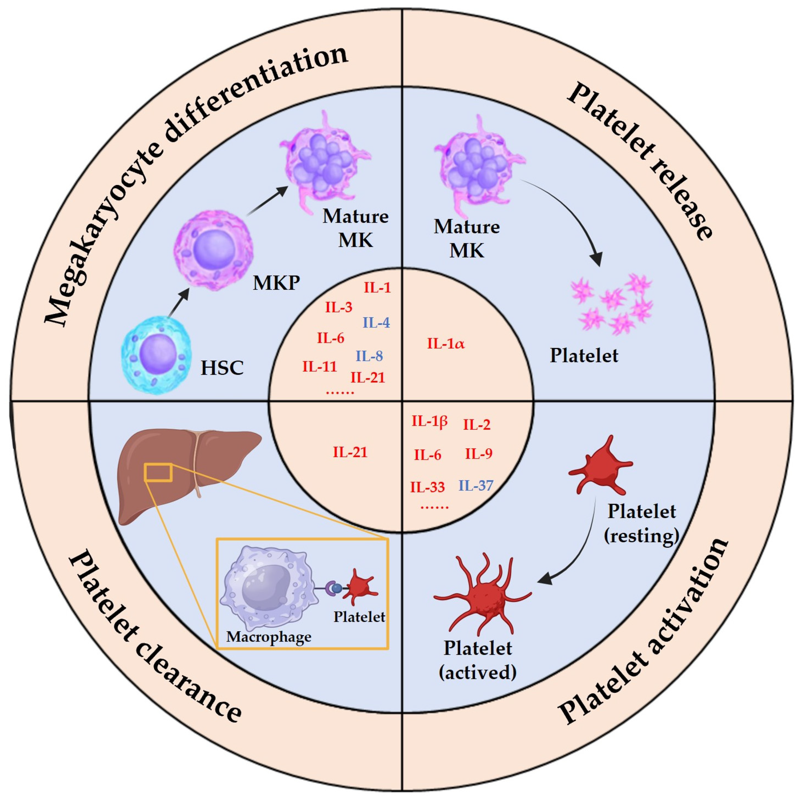 Pharmaceuticals 17 00109 g002 Pharmaceuticals 17 00109 g002