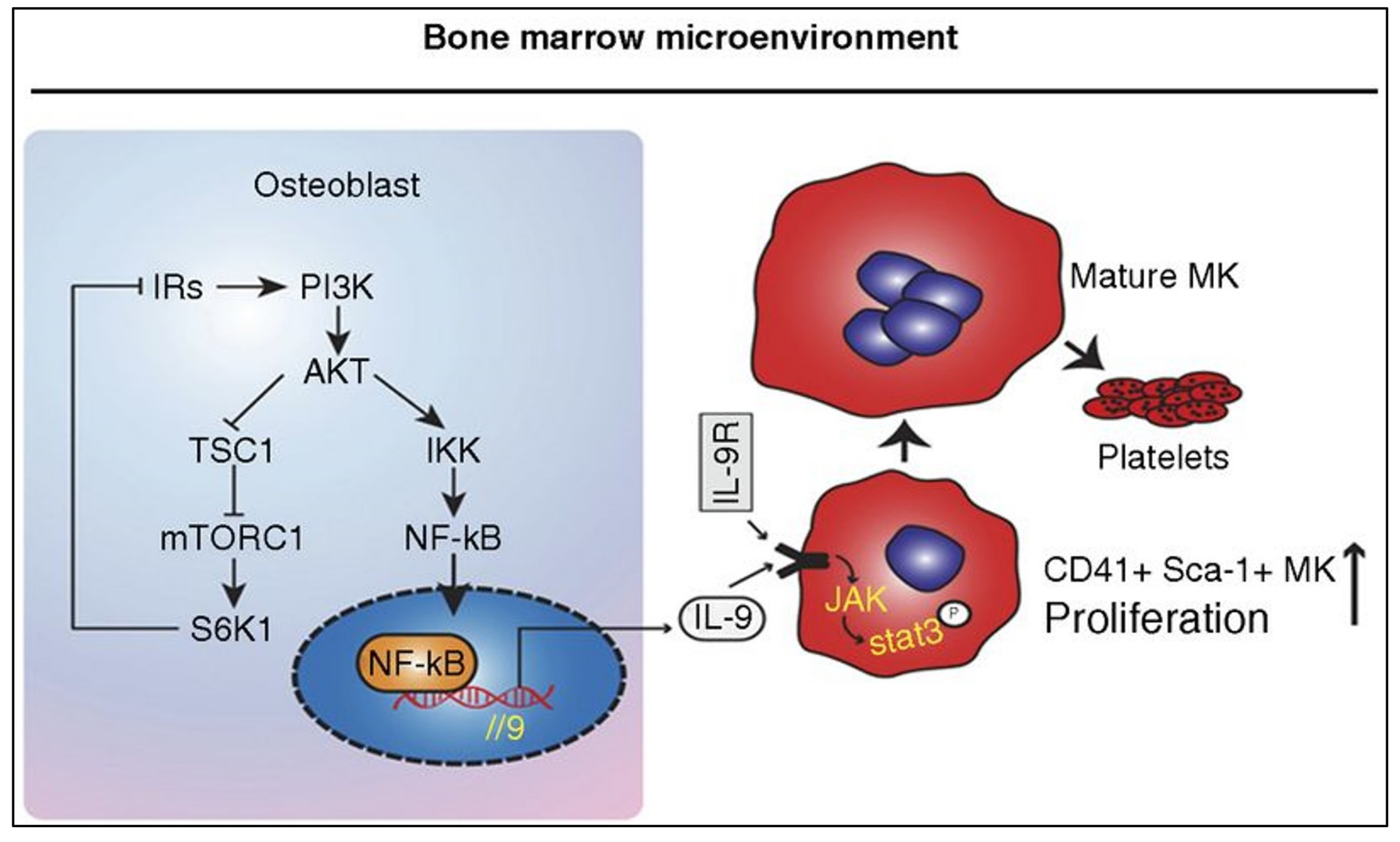 Pharmaceuticals 17 00109 g003 Pharmaceuticals 17 00109 g003