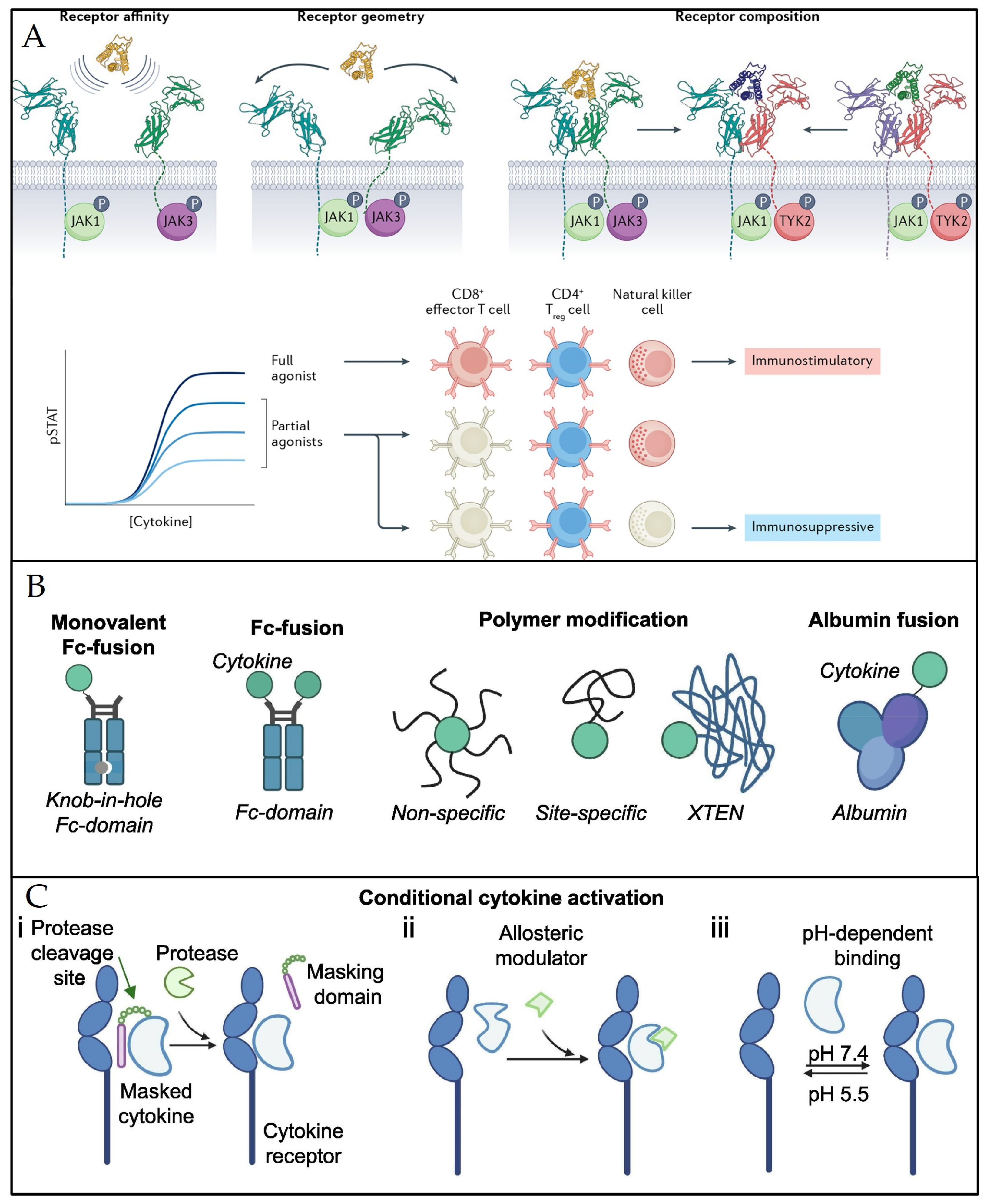 Pharmaceuticals 17 00109 g006 Pharmaceuticals 17 00109 g006
