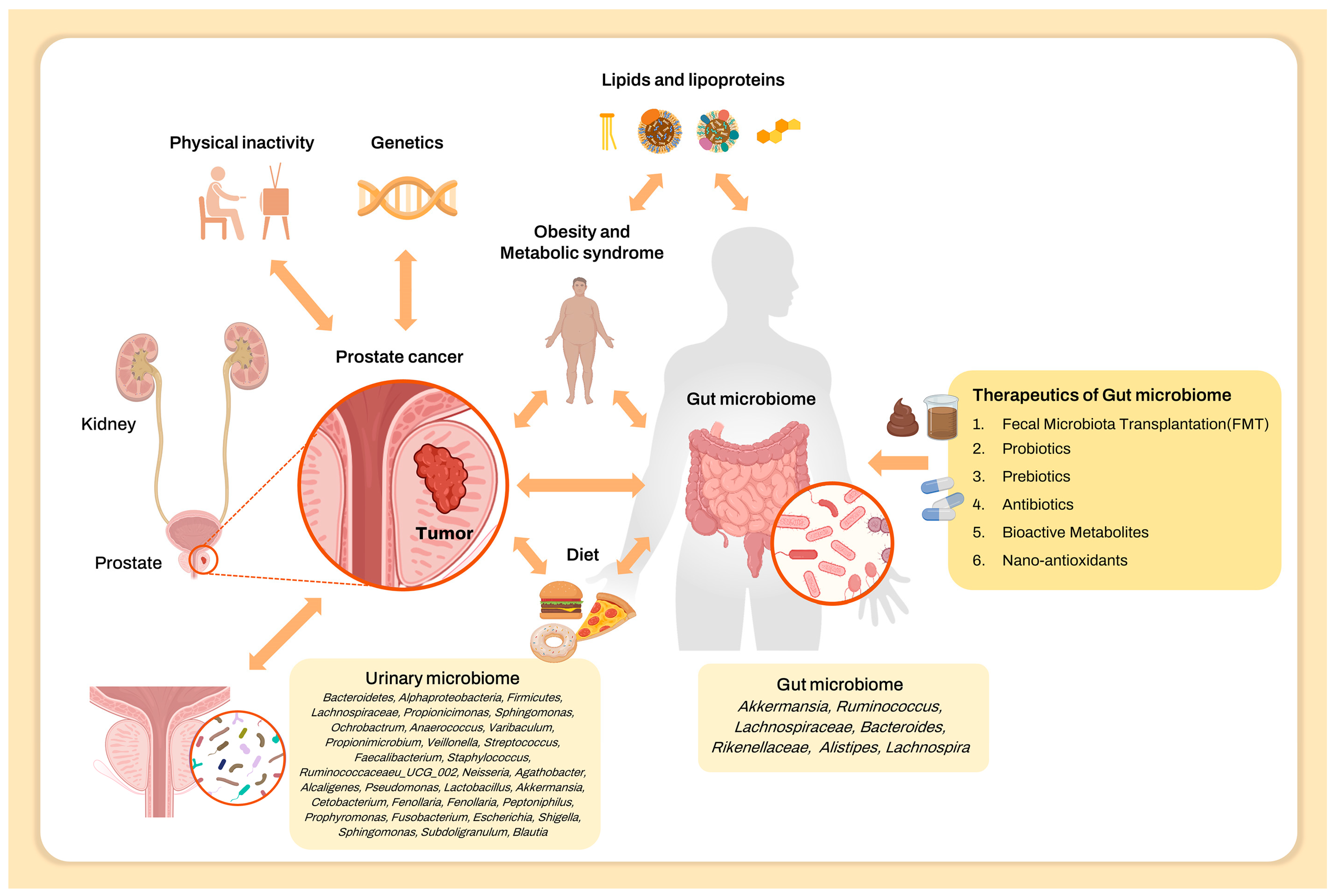 Pharmaceuticals 17 00112 g001