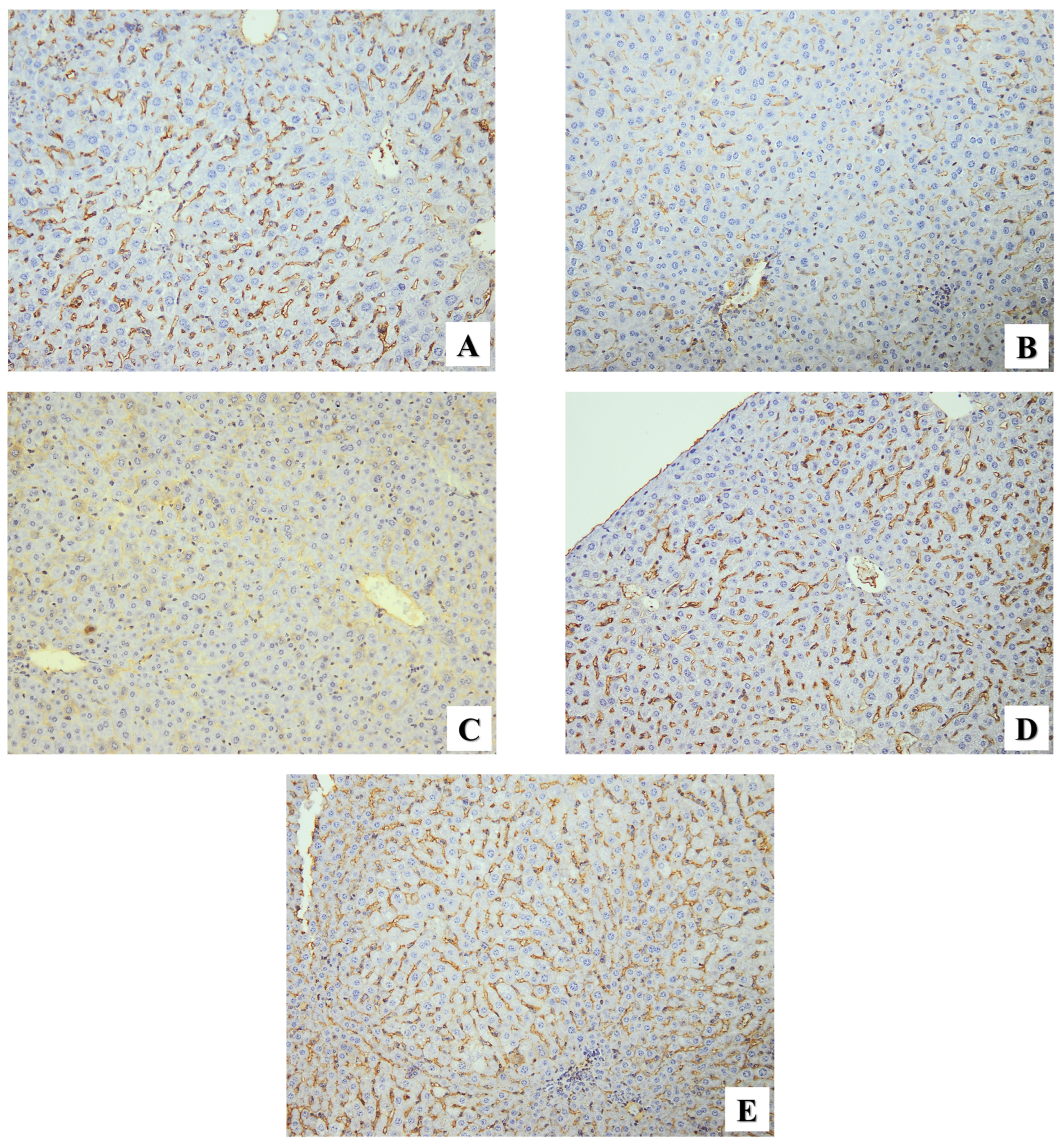 Pharmaceuticals 17 00113 g008