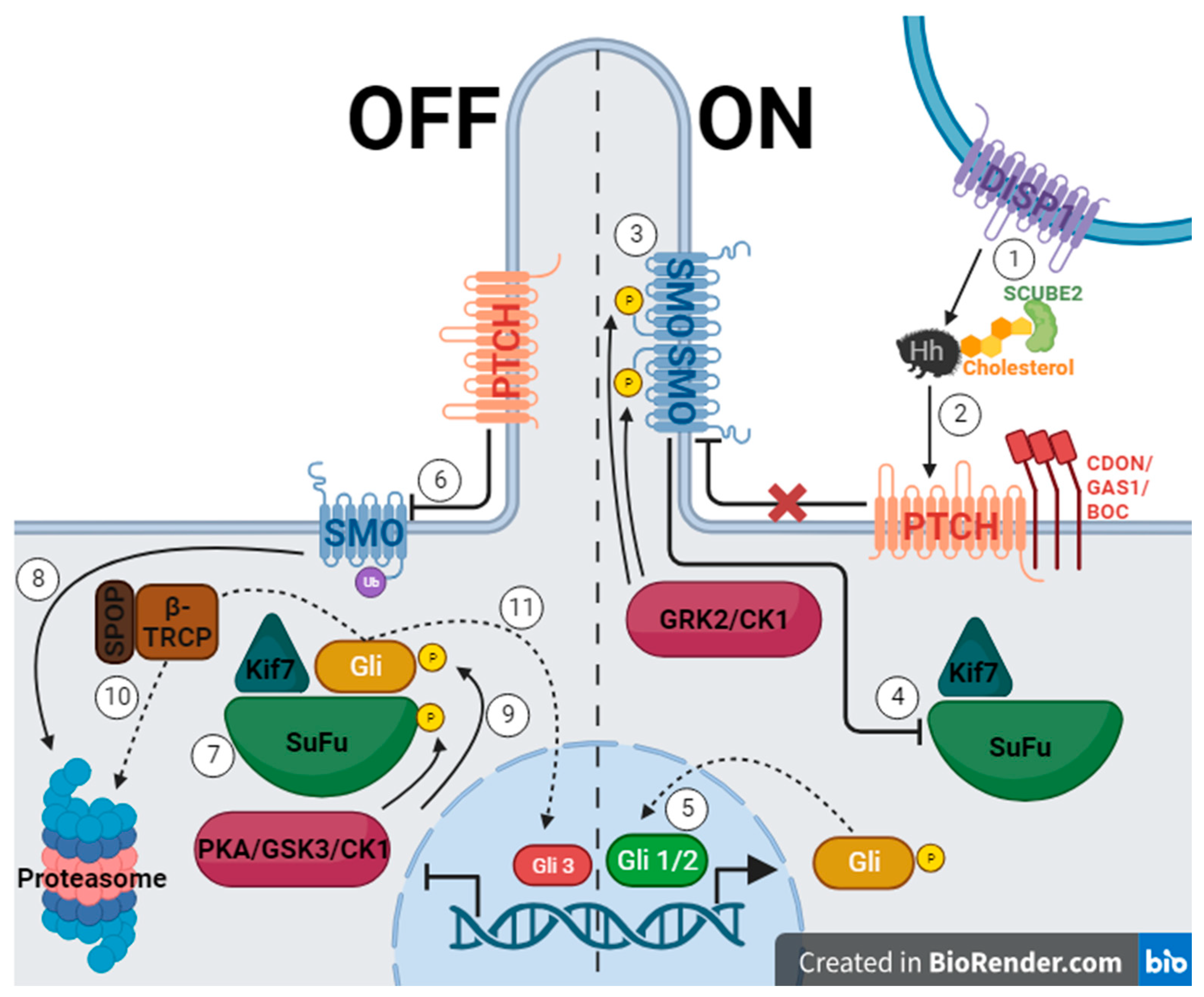 Pharmaceuticals 17 00123 g001