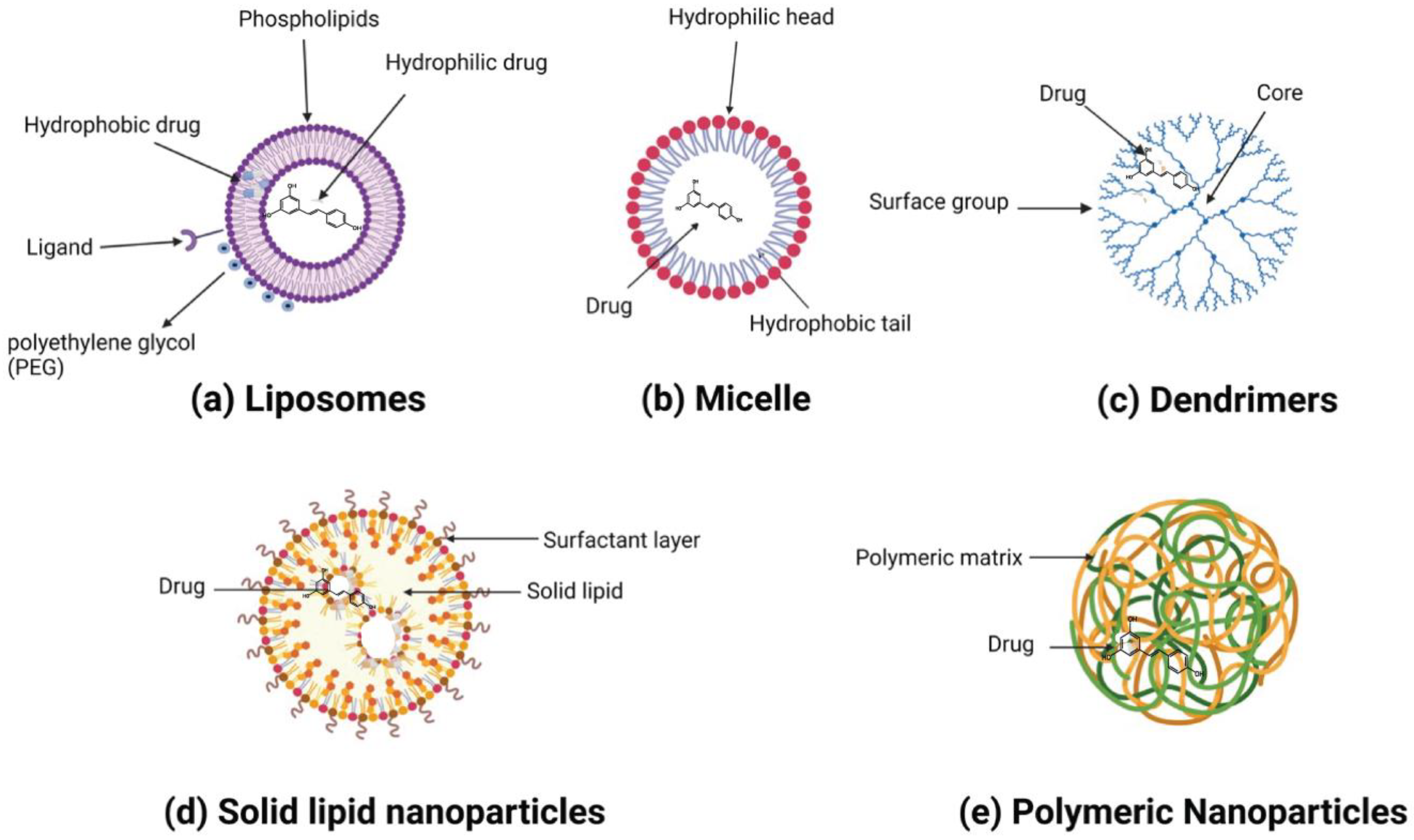 Pharmaceuticals 17 00126 g003 Pharmaceuticals 17 00126 g003