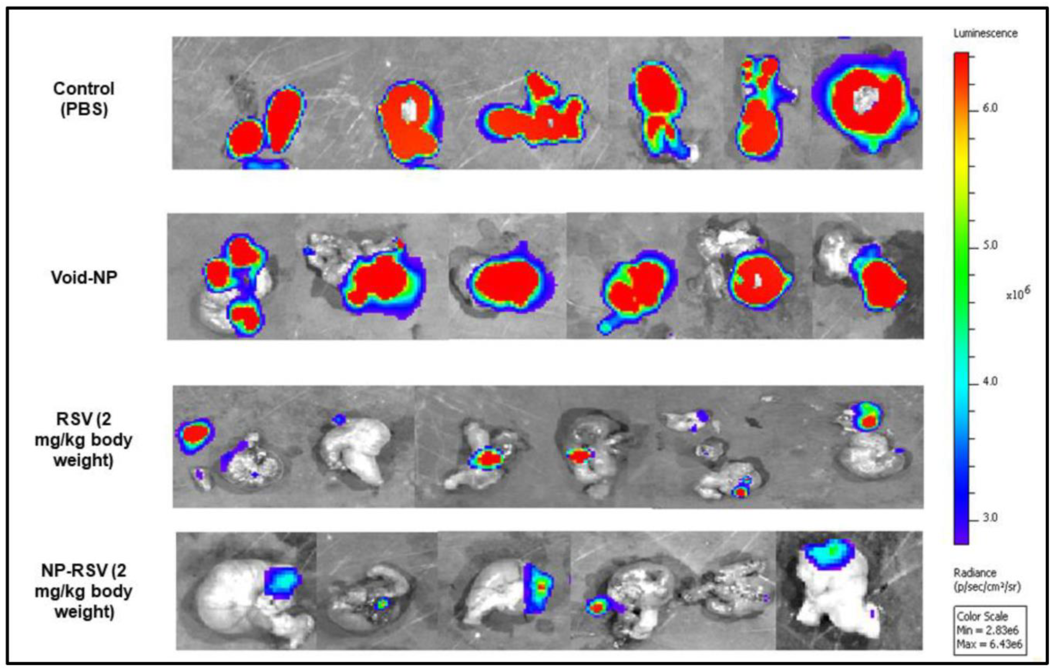 Pharmaceuticals 17 00126 g007 Pharmaceuticals 17 00126 g007