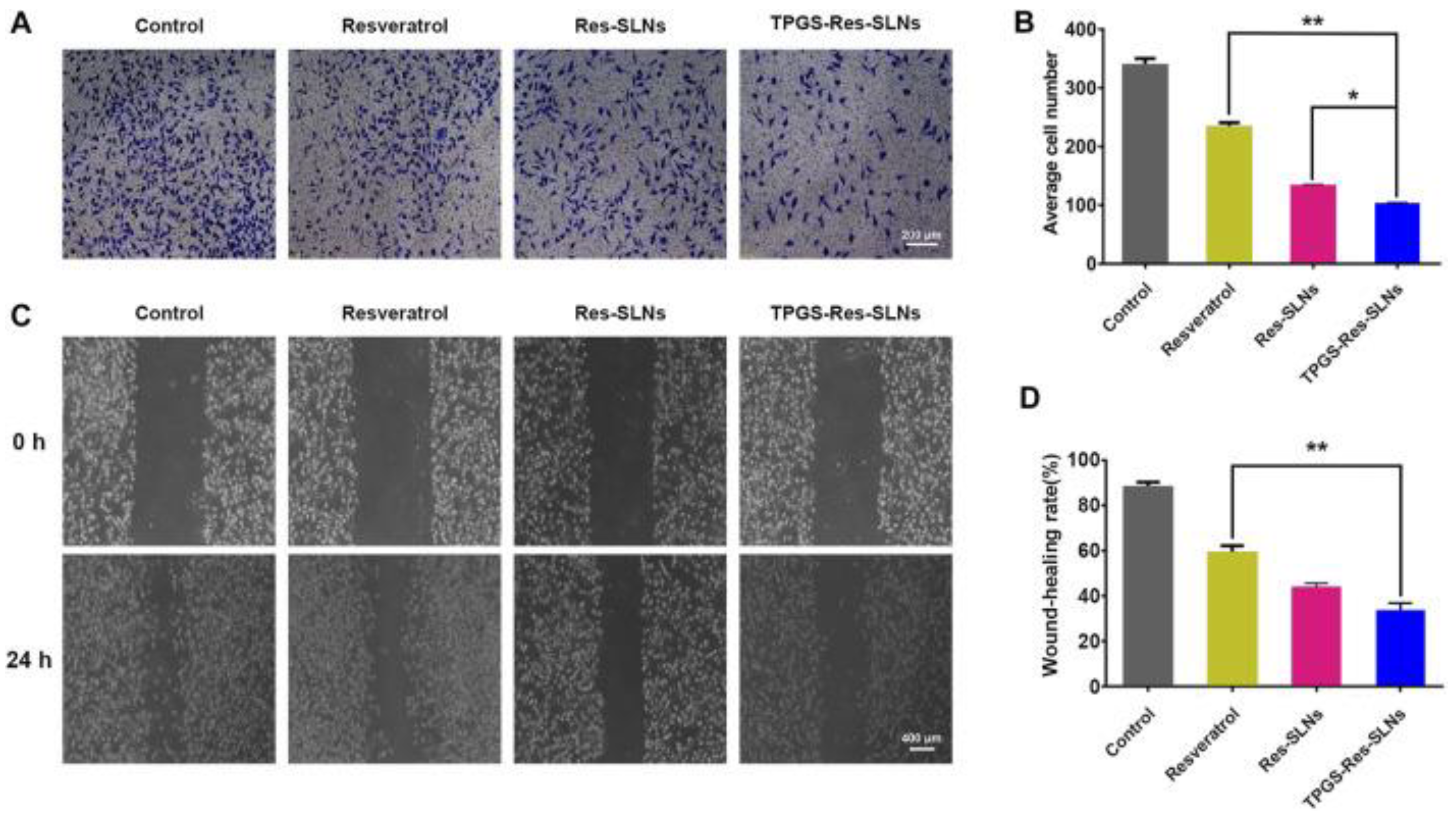 Pharmaceuticals 17 00126 g010 Pharmaceuticals 17 00126 g010