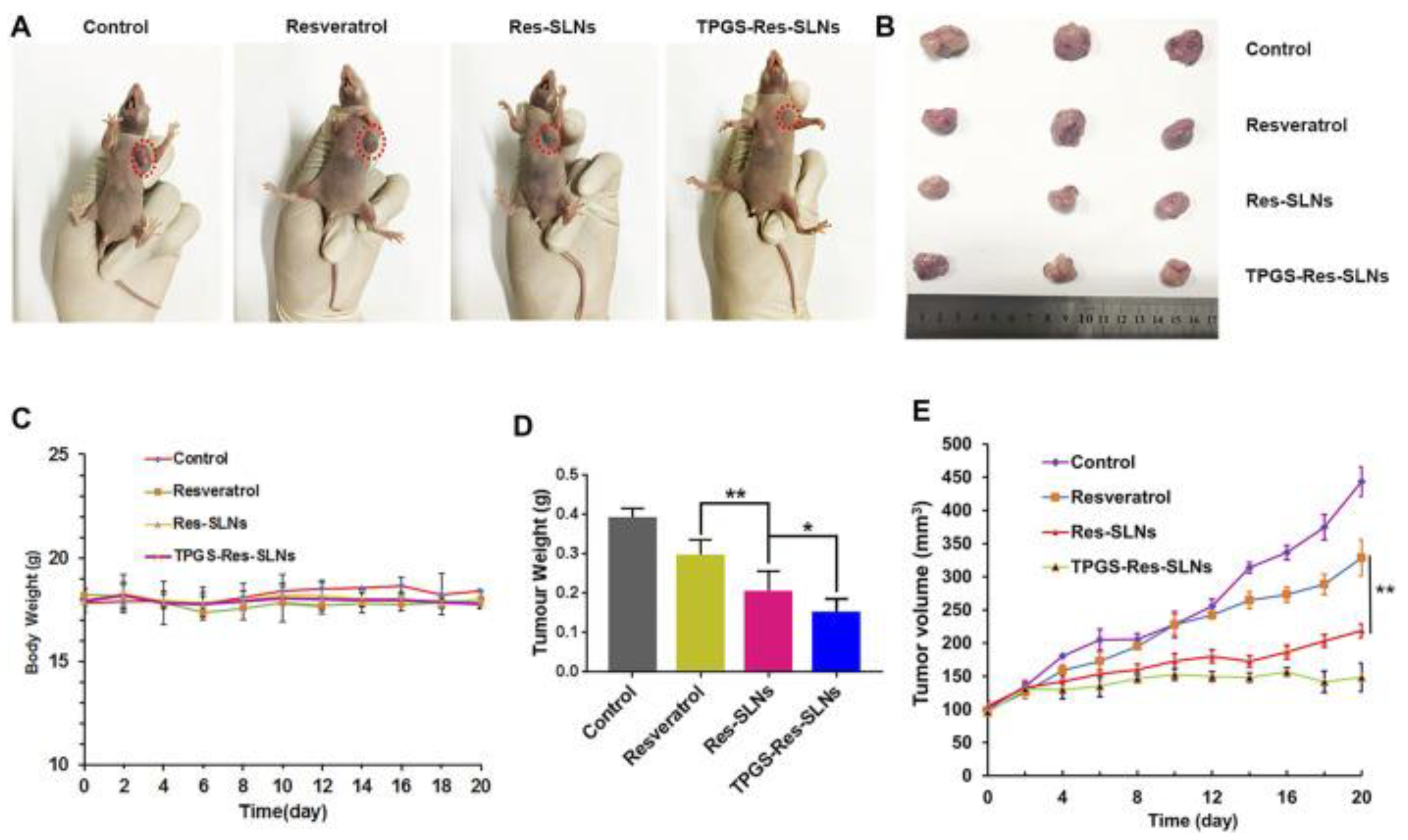 Pharmaceuticals 17 00126 g011 Pharmaceuticals 17 00126 g011