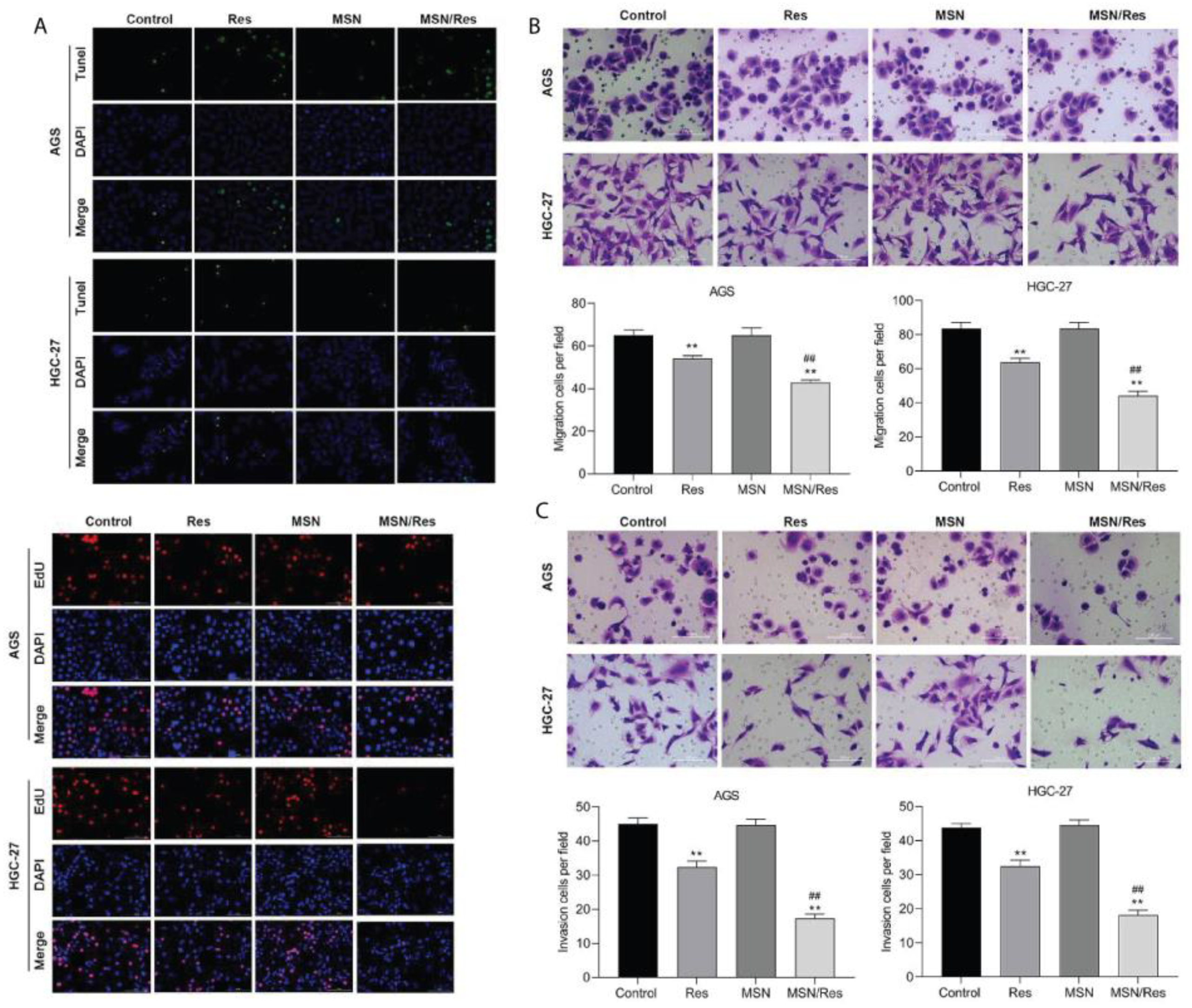 Pharmaceuticals 17 00126 g016 Pharmaceuticals 17 00126 g016