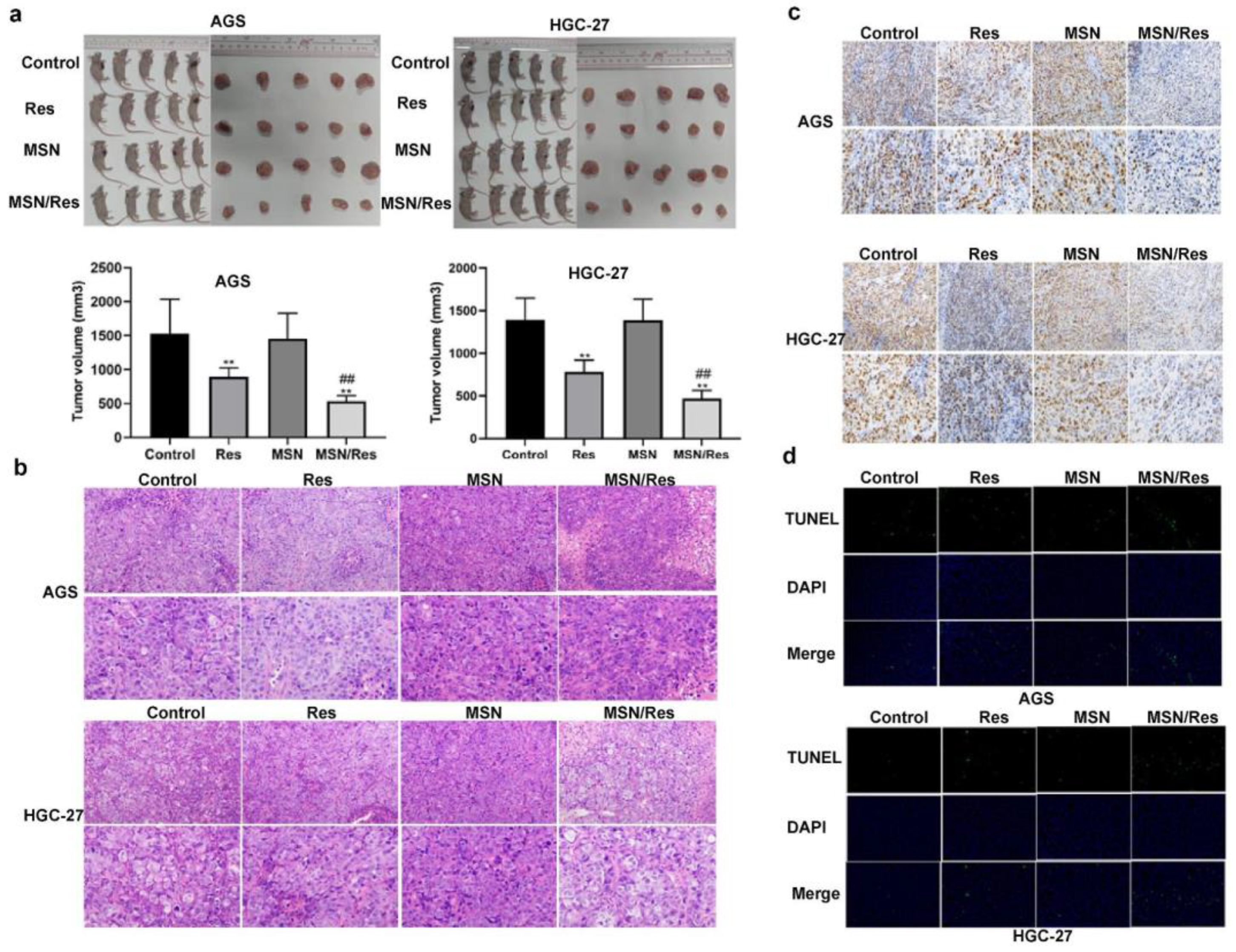 Pharmaceuticals 17 00126 g017 Pharmaceuticals 17 00126 g017