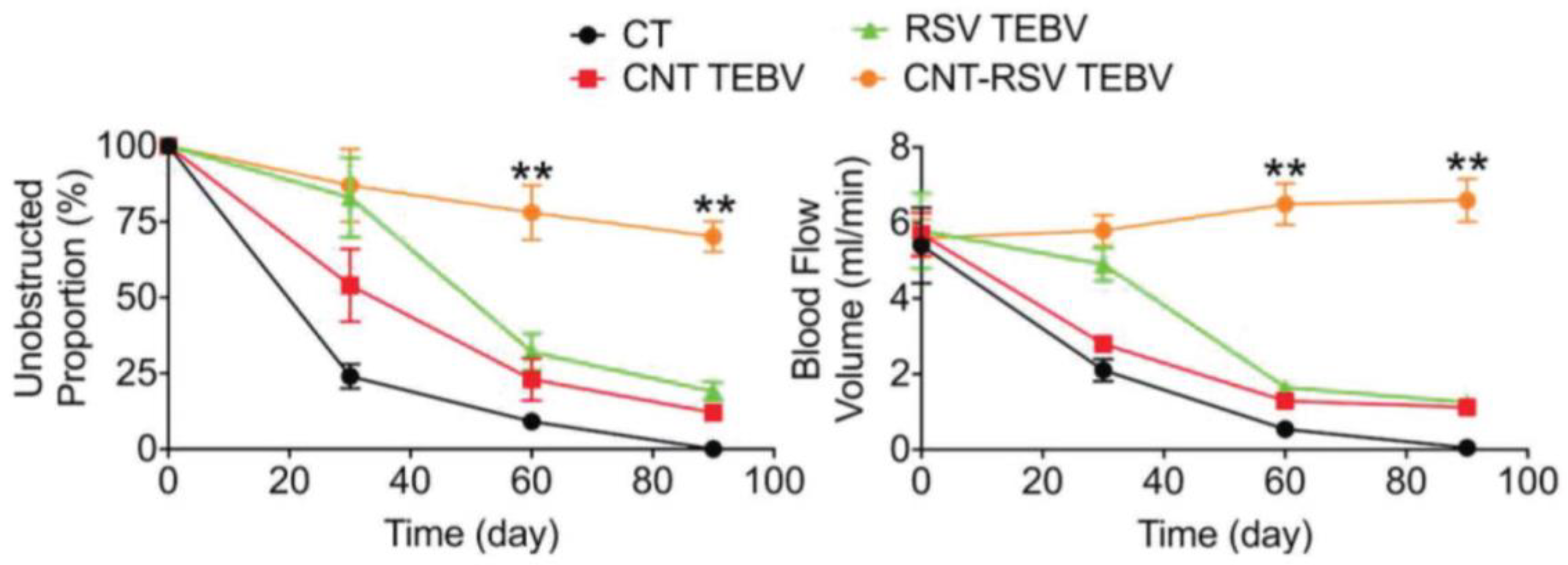 Pharmaceuticals 17 00126 g019 Pharmaceuticals 17 00126 g019