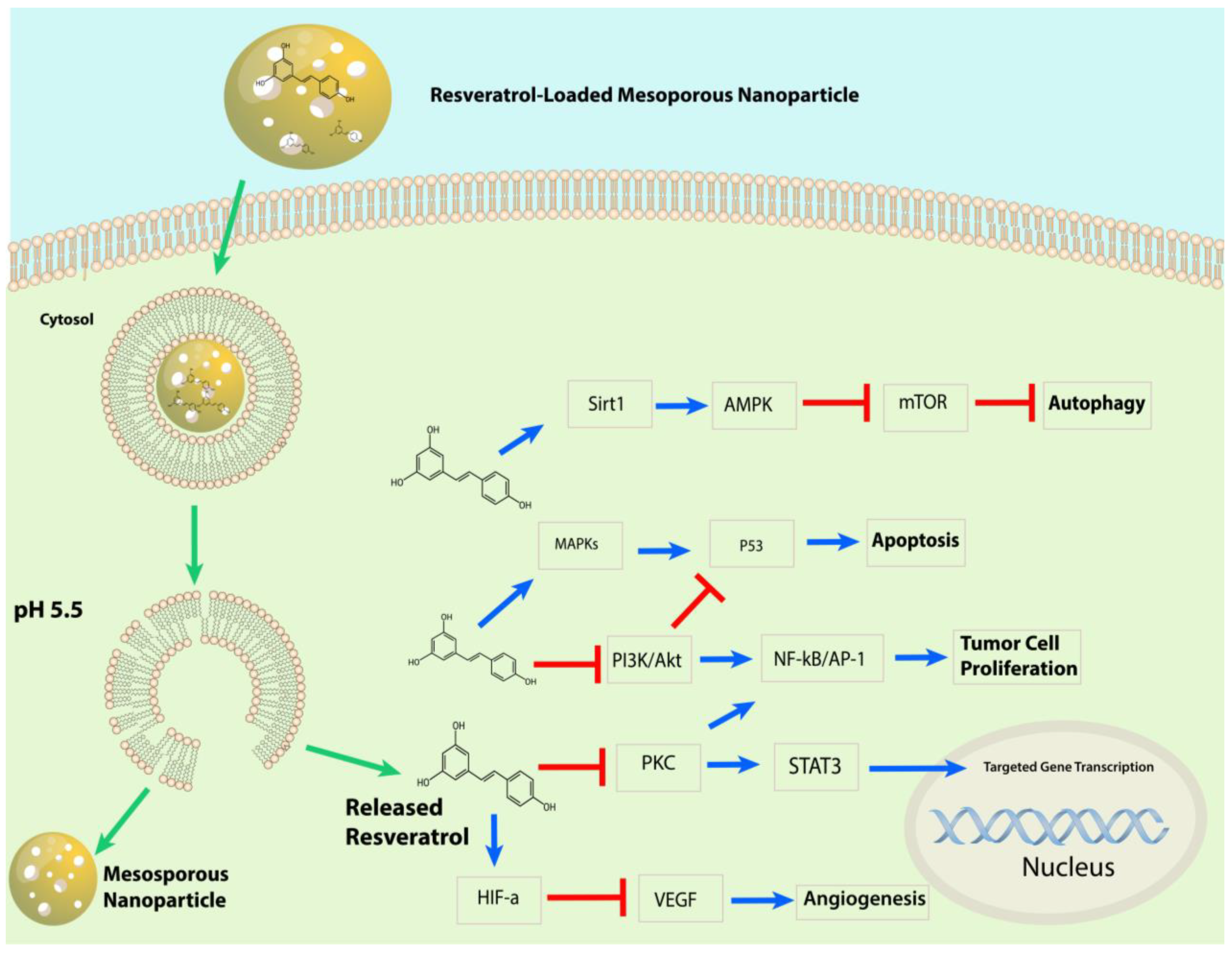 Pharmaceuticals 17 00126 g020 Pharmaceuticals 17 00126 g020