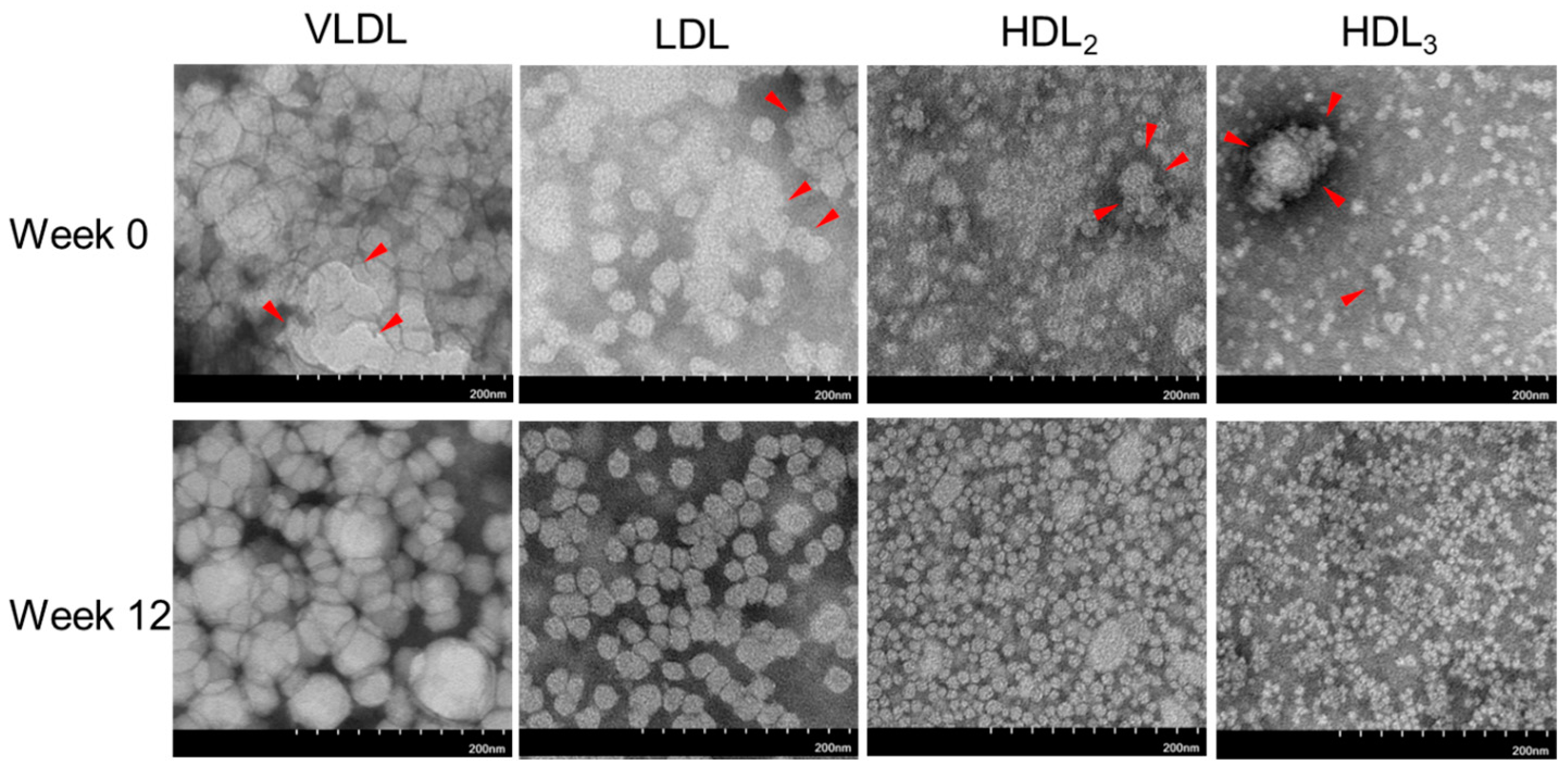 Pharmaceuticals 17 00132 g003a