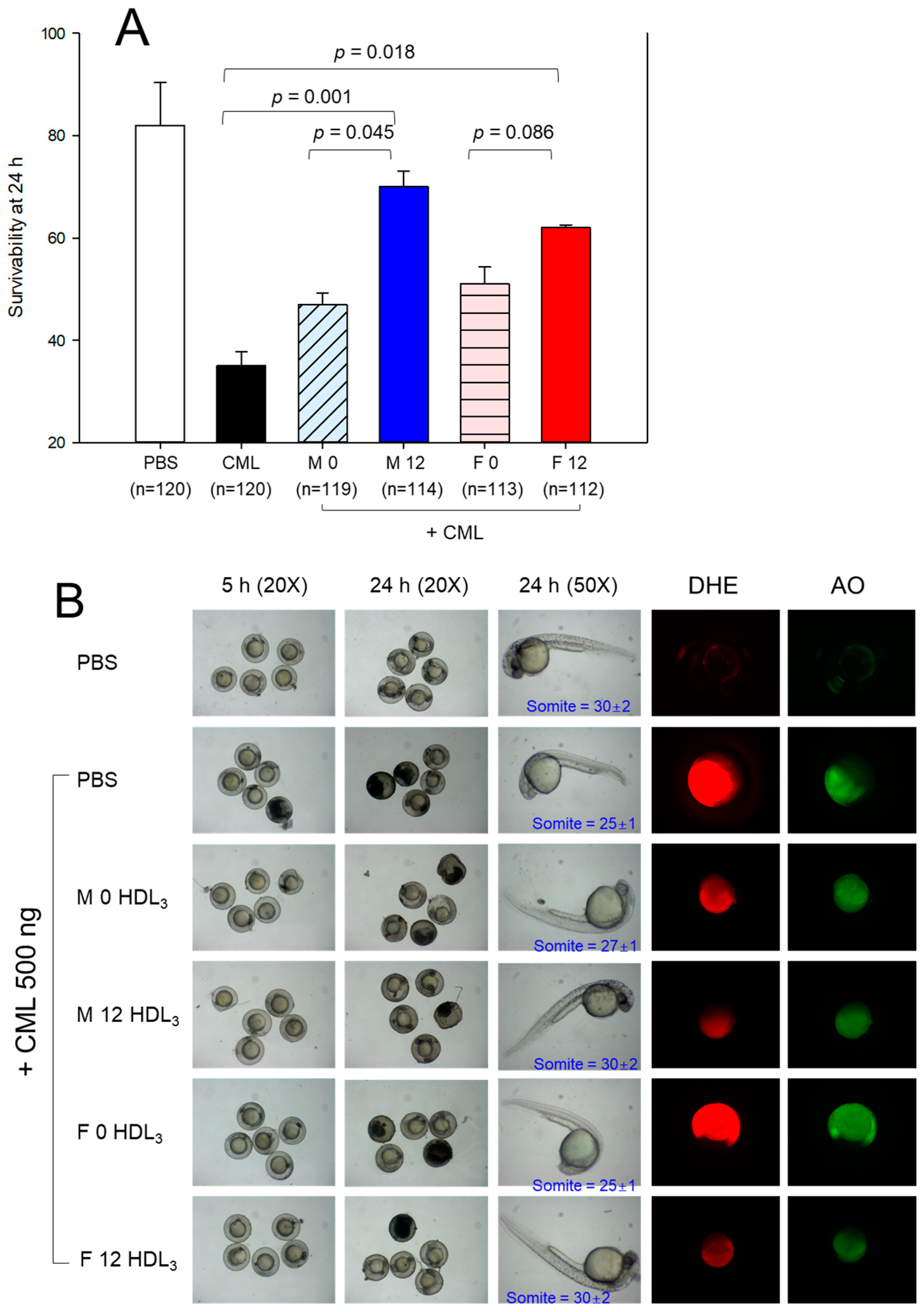 Pharmaceuticals 17 00132 g006a
